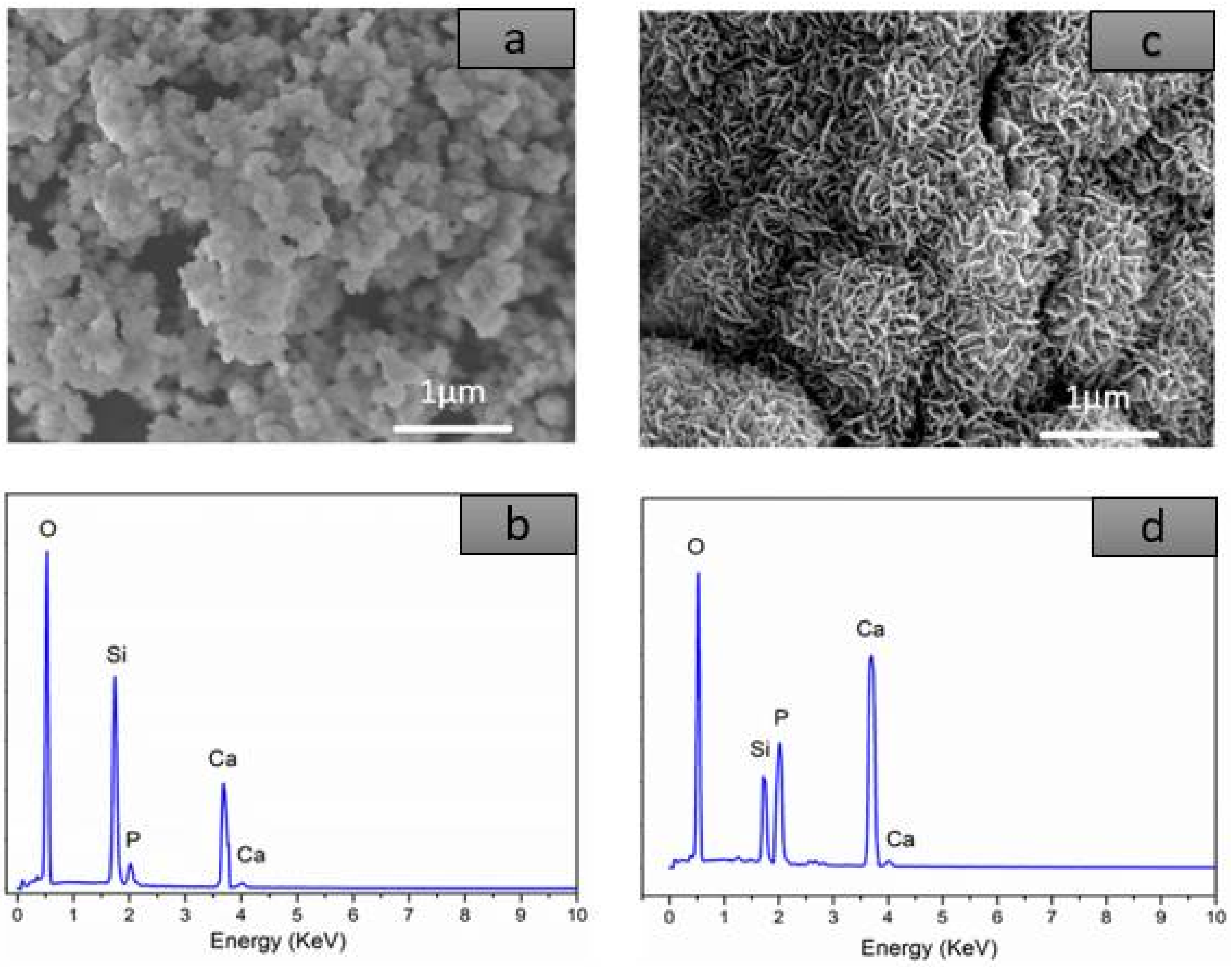 Crystals 11 00283 g005