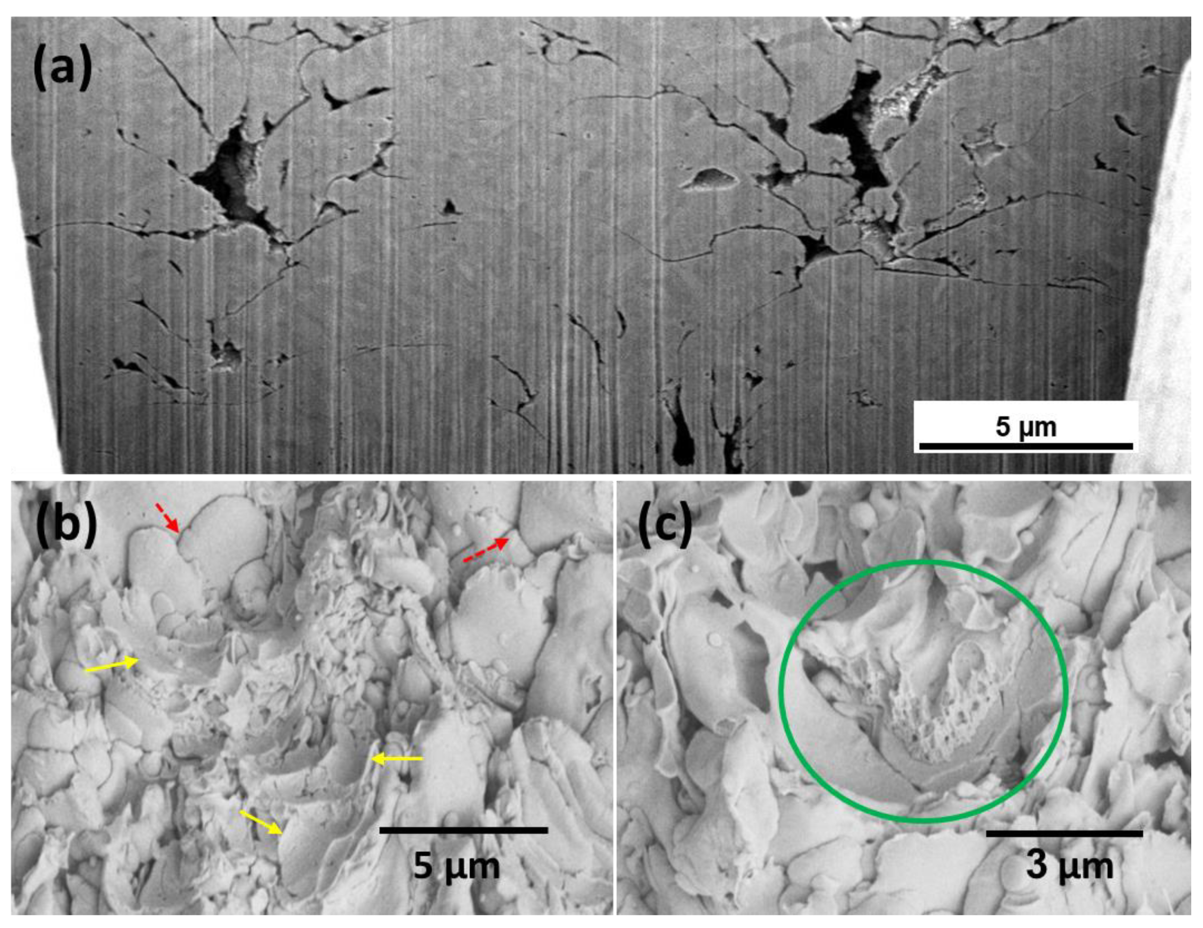 Crystals 11 00291 g001
