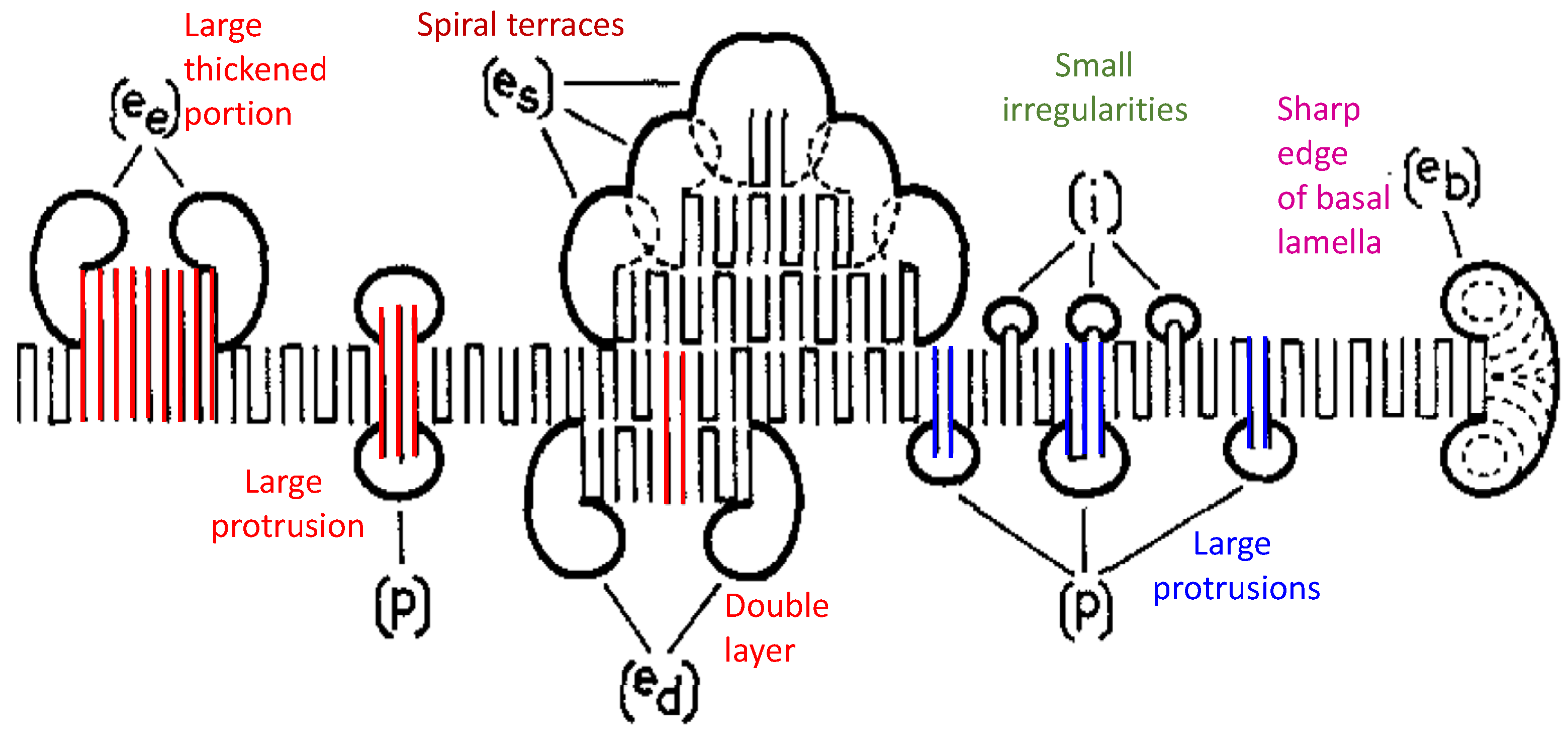 Crystals 11 00304 g003 Crystals 11 00304 g003