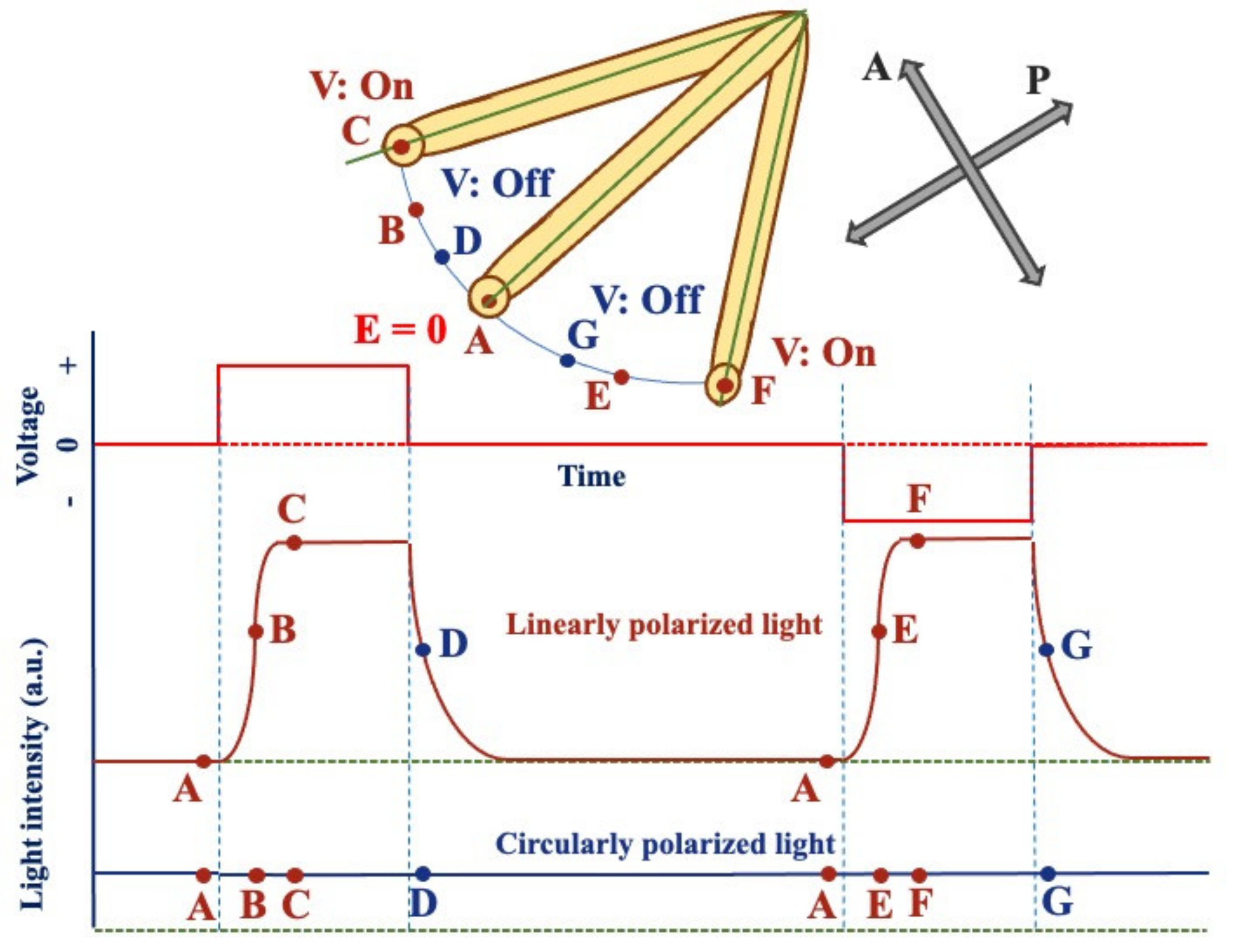 Crystals 11 00337 g014