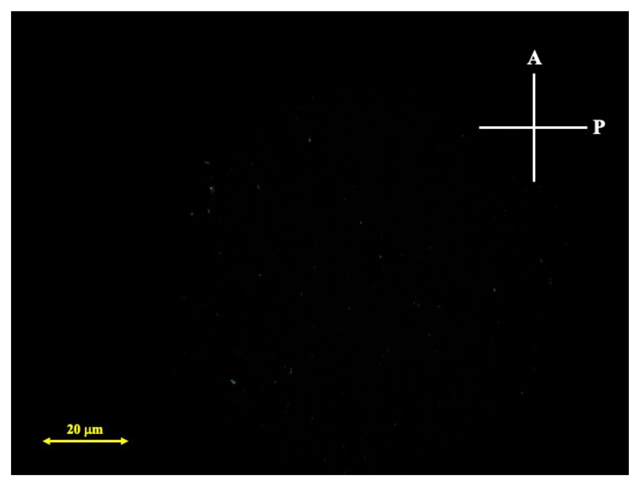 Crystals 11 00337 sch001