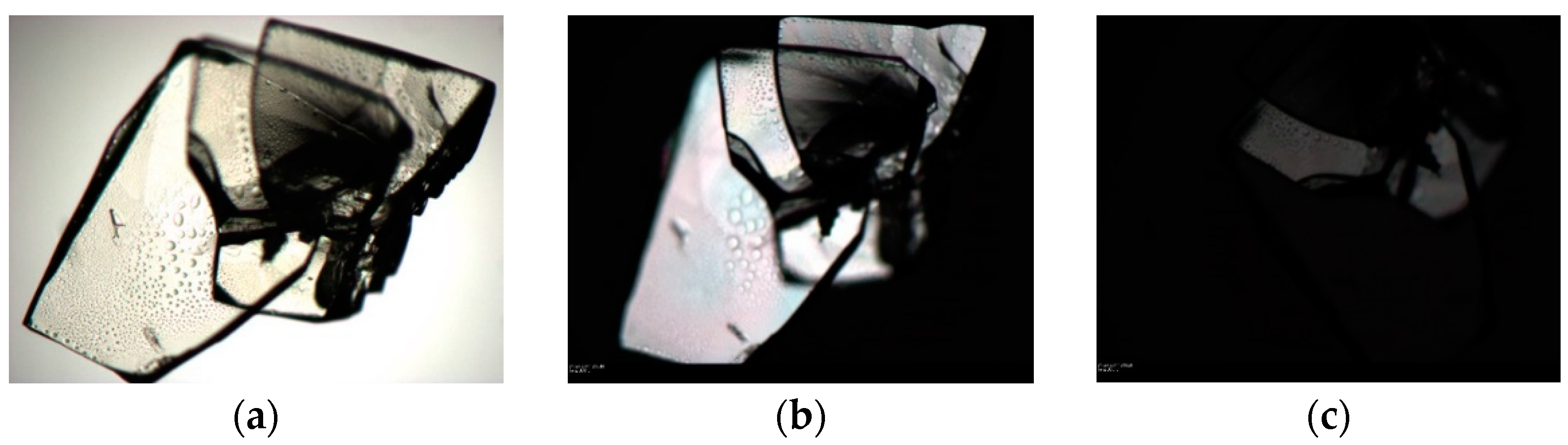 Crystals 11 00342 g011