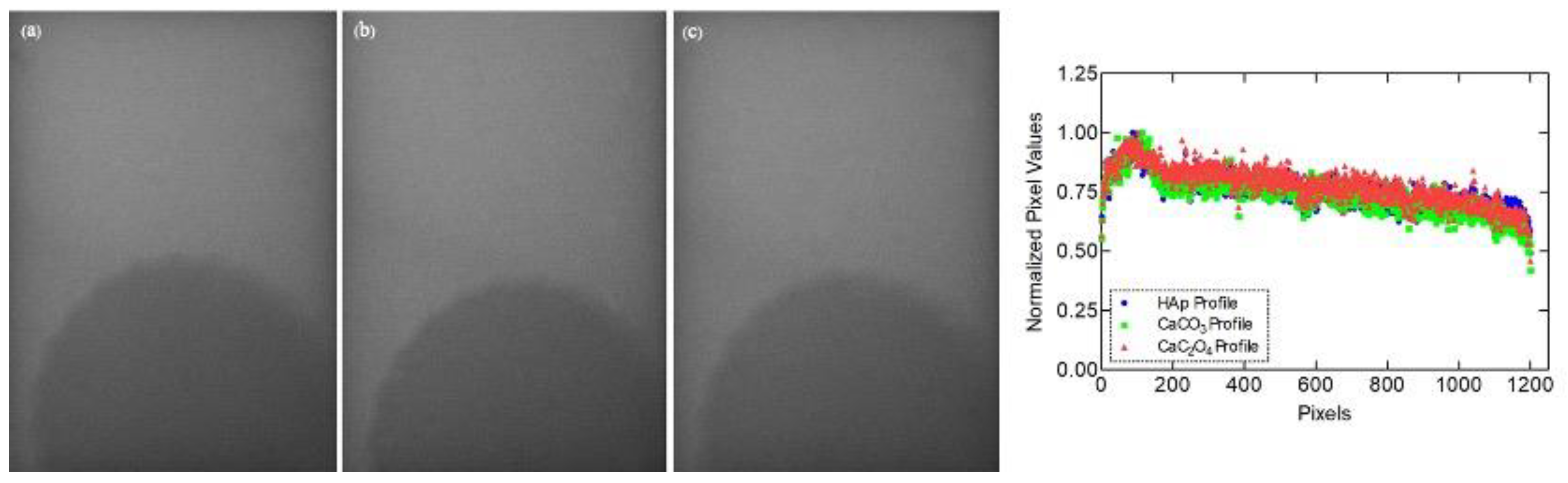 Crystals 11 00345 g005 Crystals 11 00345 g005