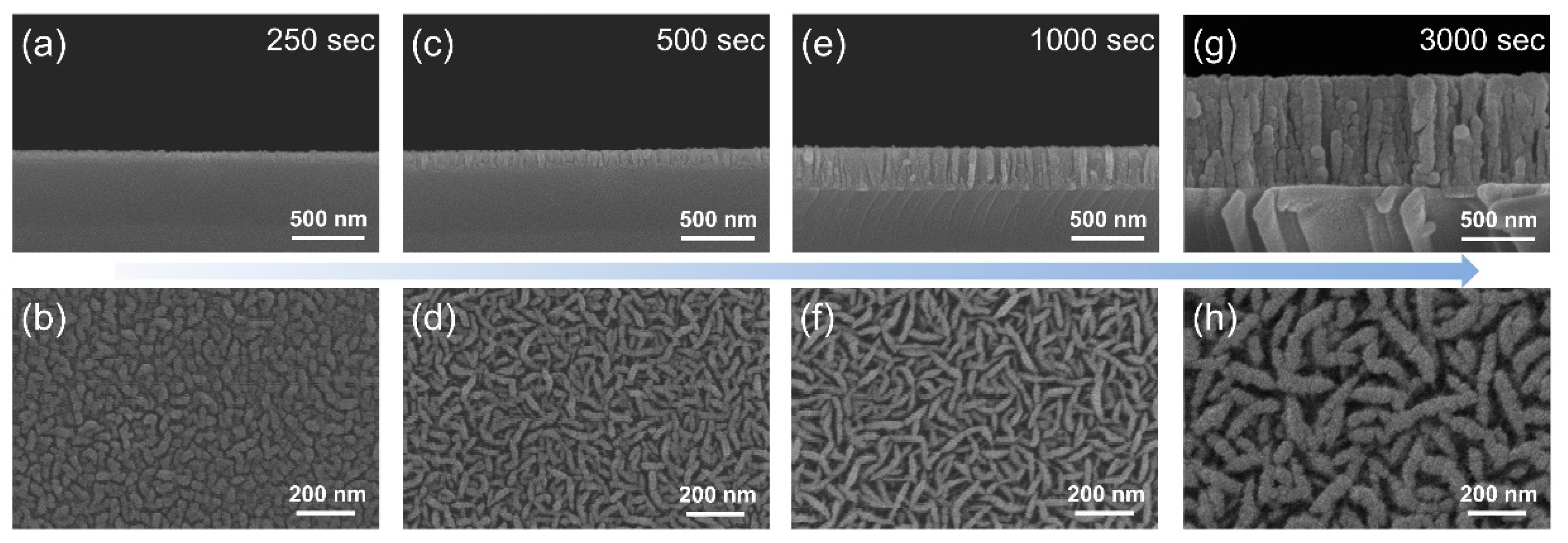 Crystals 11 00351 g002 Crystals 11 00351 g002