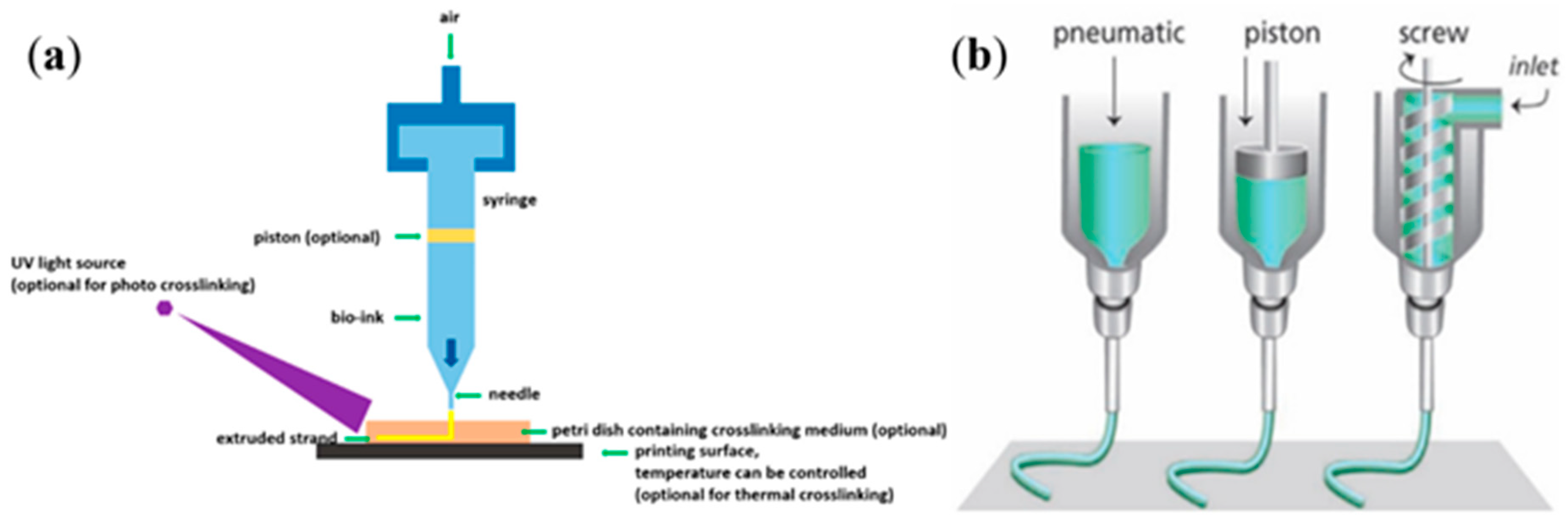 Crystals 11 00353 g004 Crystals 11 00353 g004
