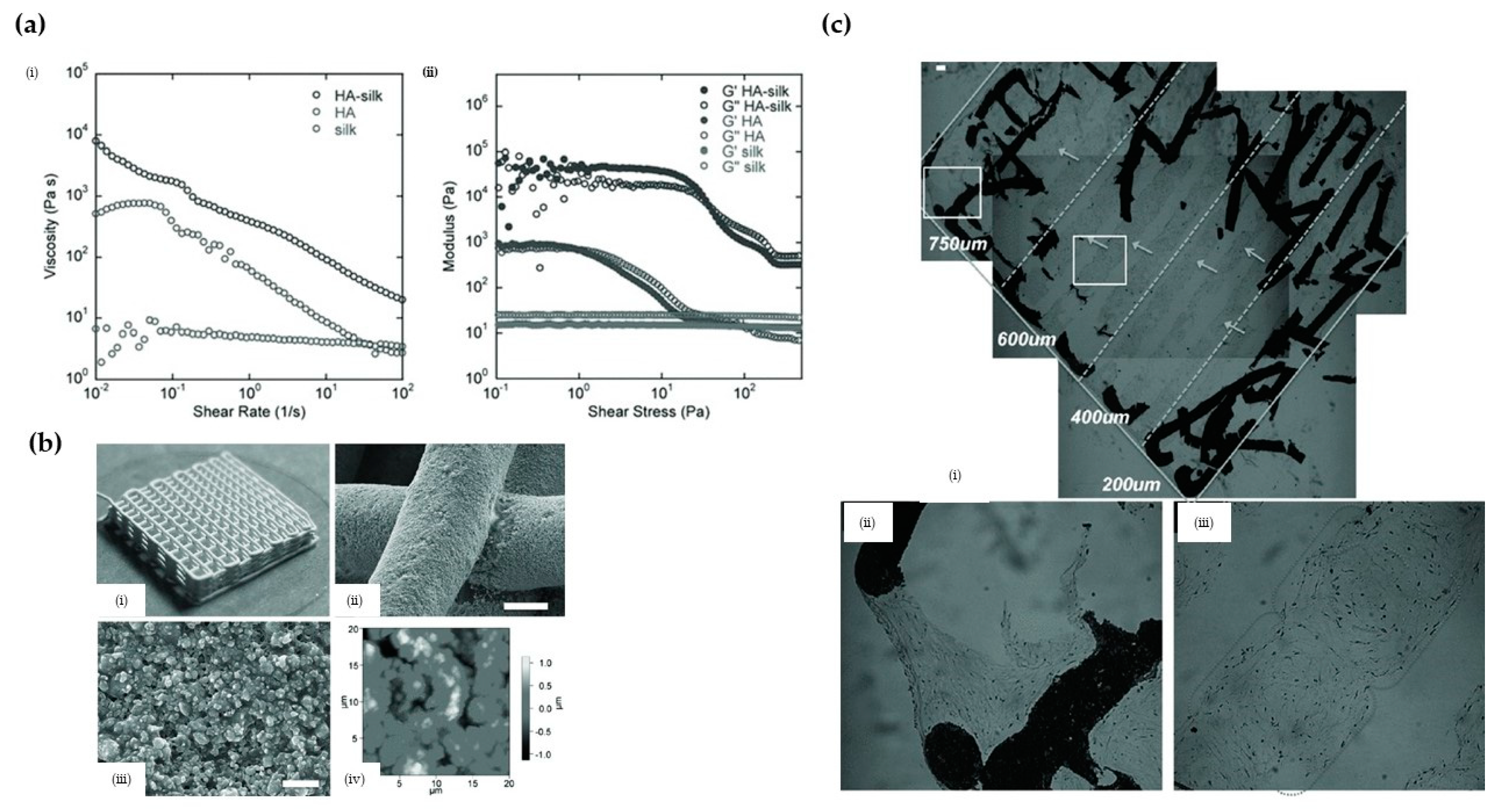 Crystals 11 00353 g010 Crystals 11 00353 g010