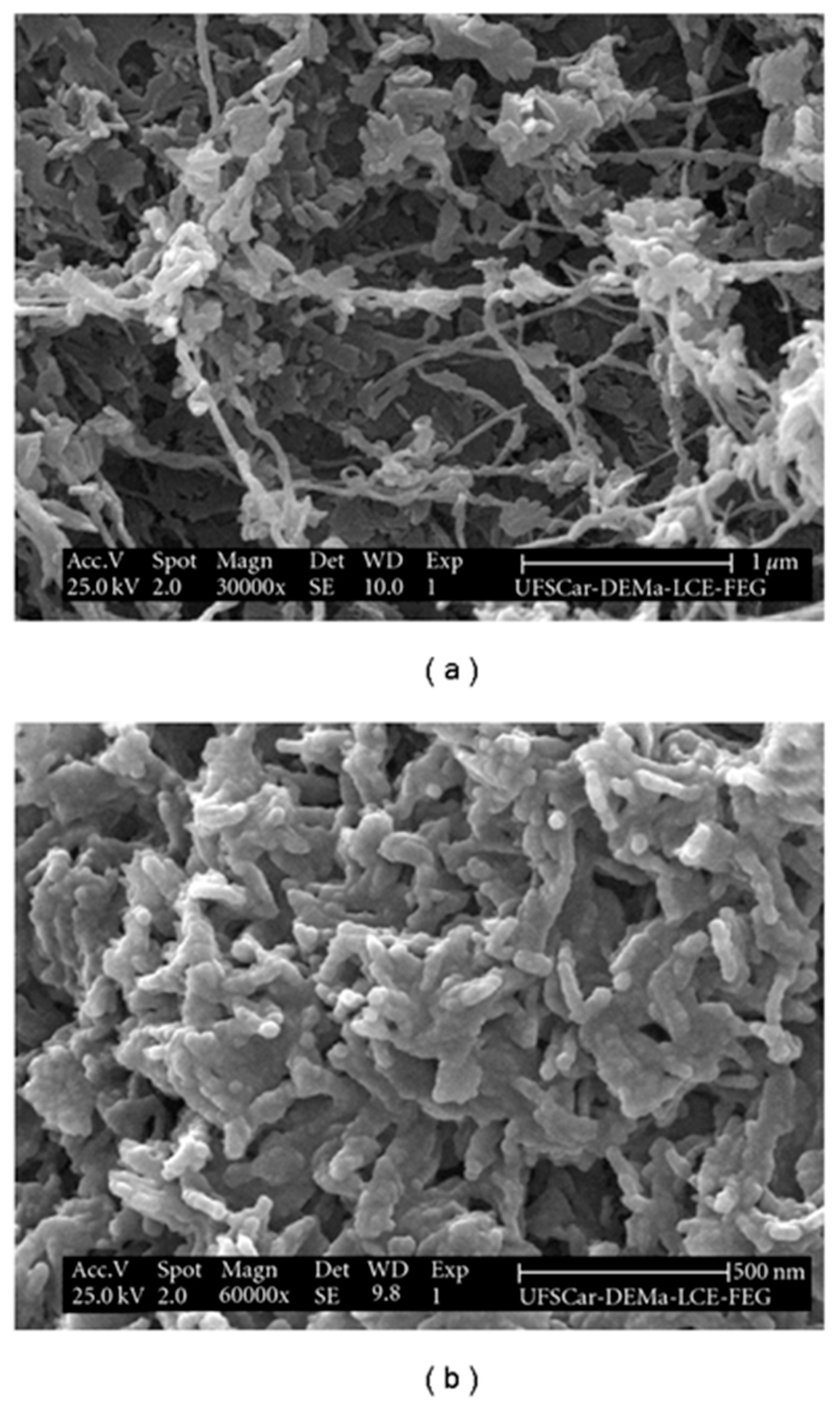 Crystals 11 00353 g012 Crystals 11 00353 g012