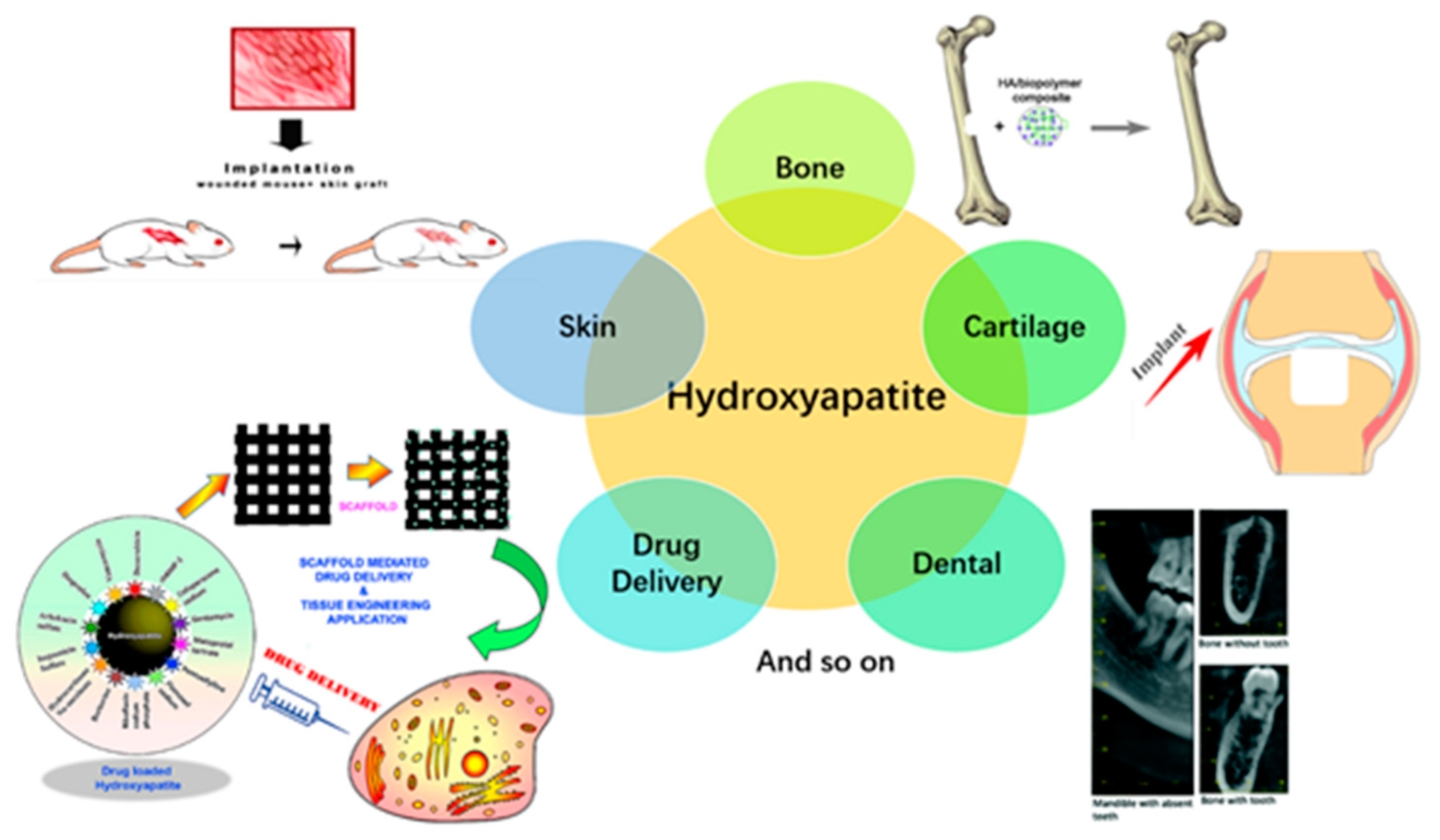 Crystals 11 00353 g020 Crystals 11 00353 g020