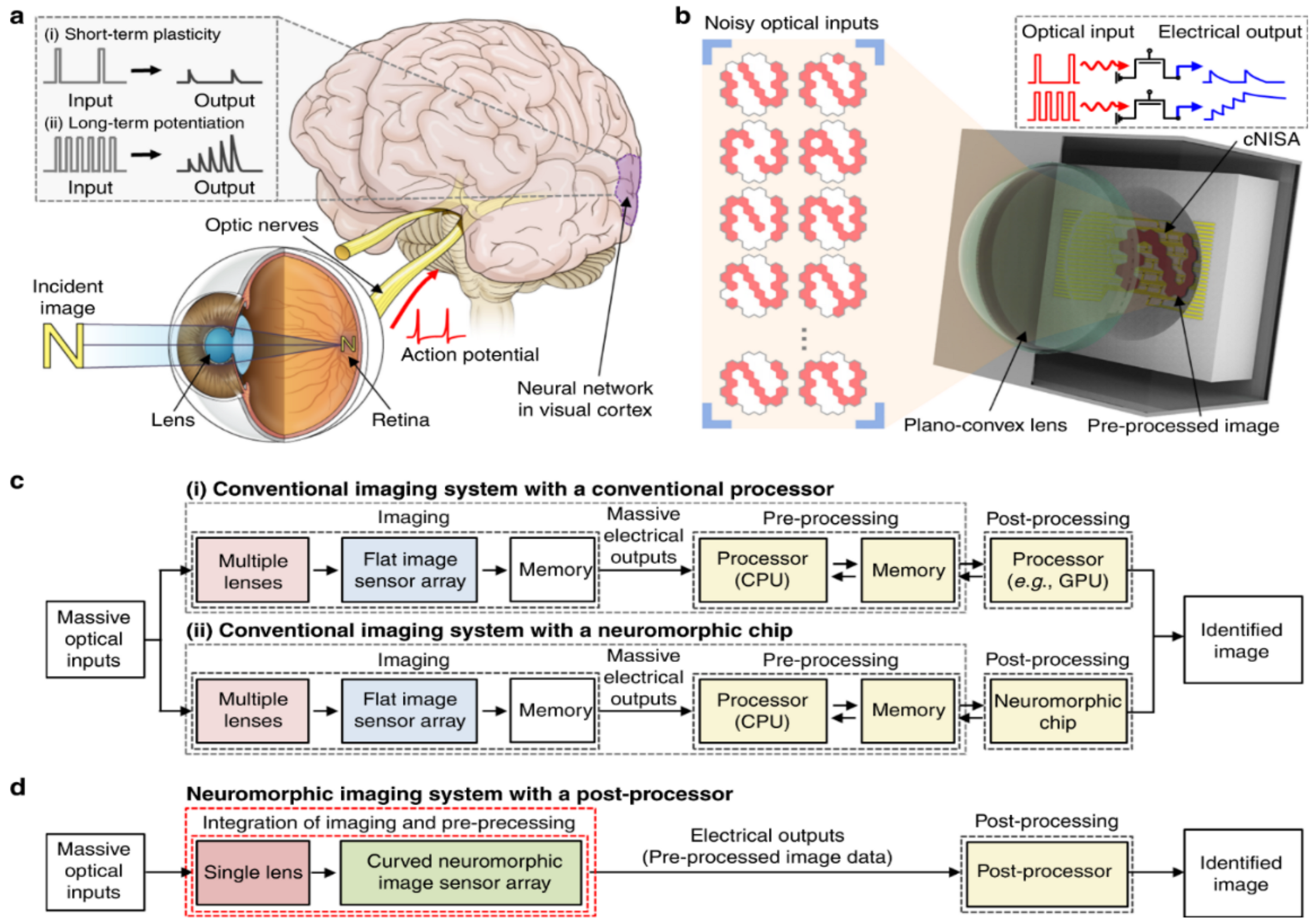 Crystals 11 00355 g003