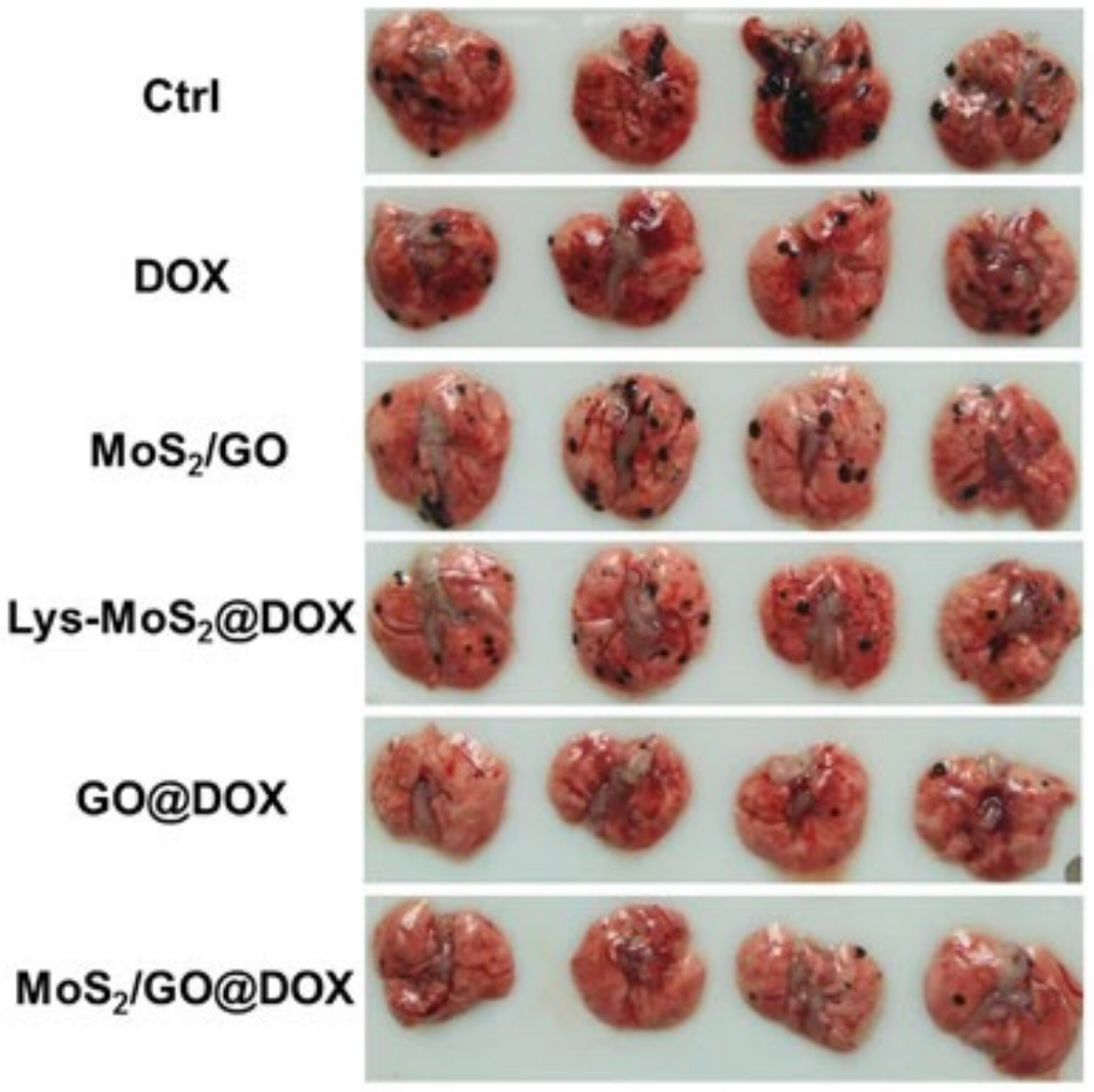 Crystals 11 00355 g004