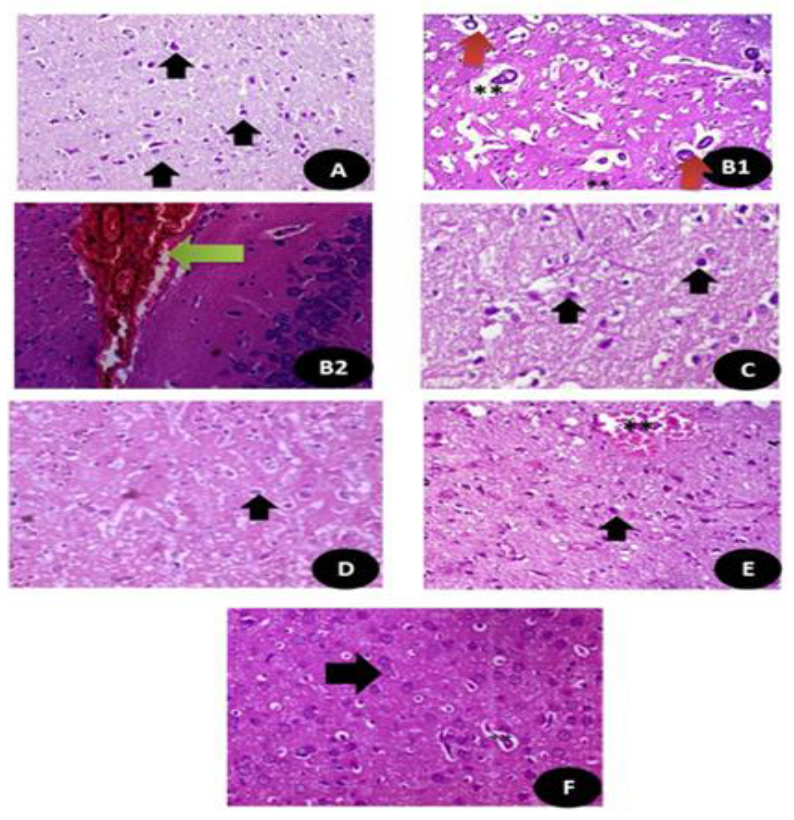 Crystals 11 00367 g014