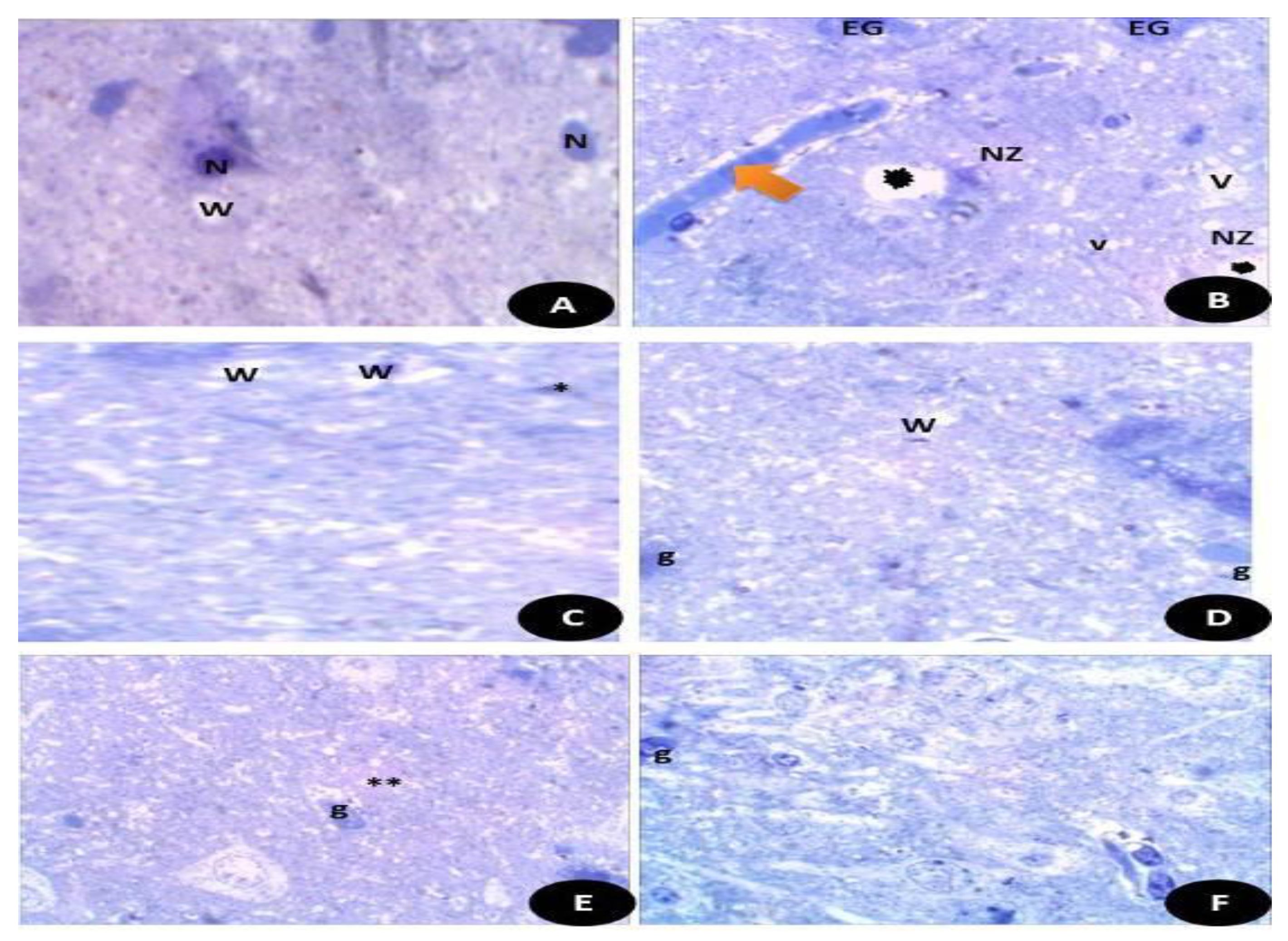 Crystals 11 00367 g015