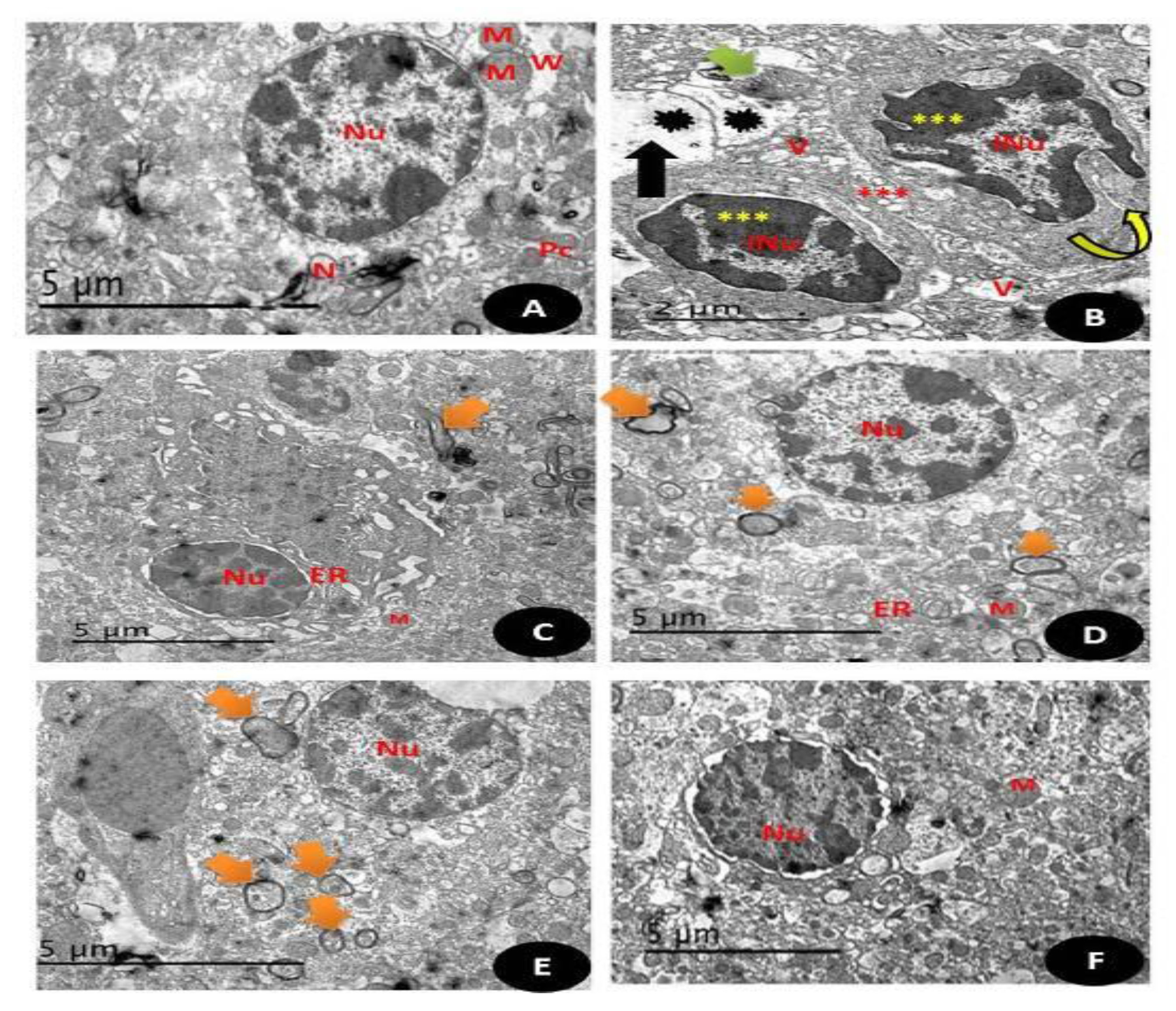 Crystals 11 00367 g017