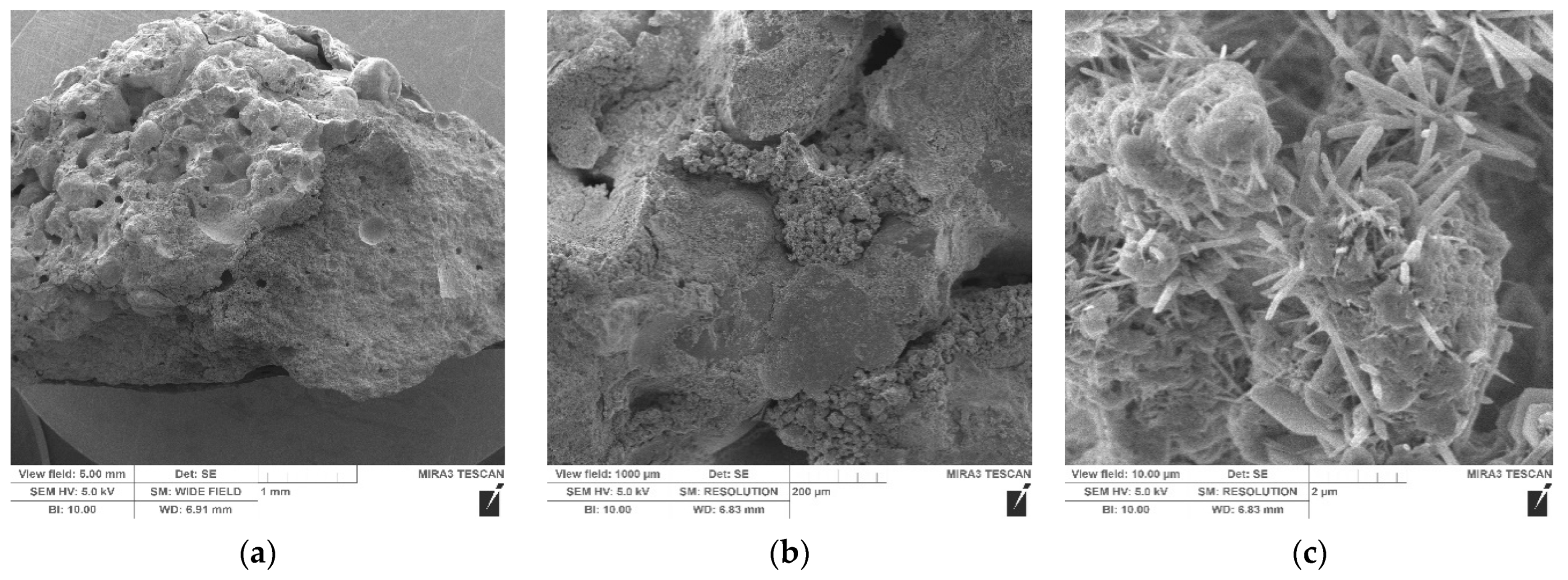 Crystals 11 00369 g004