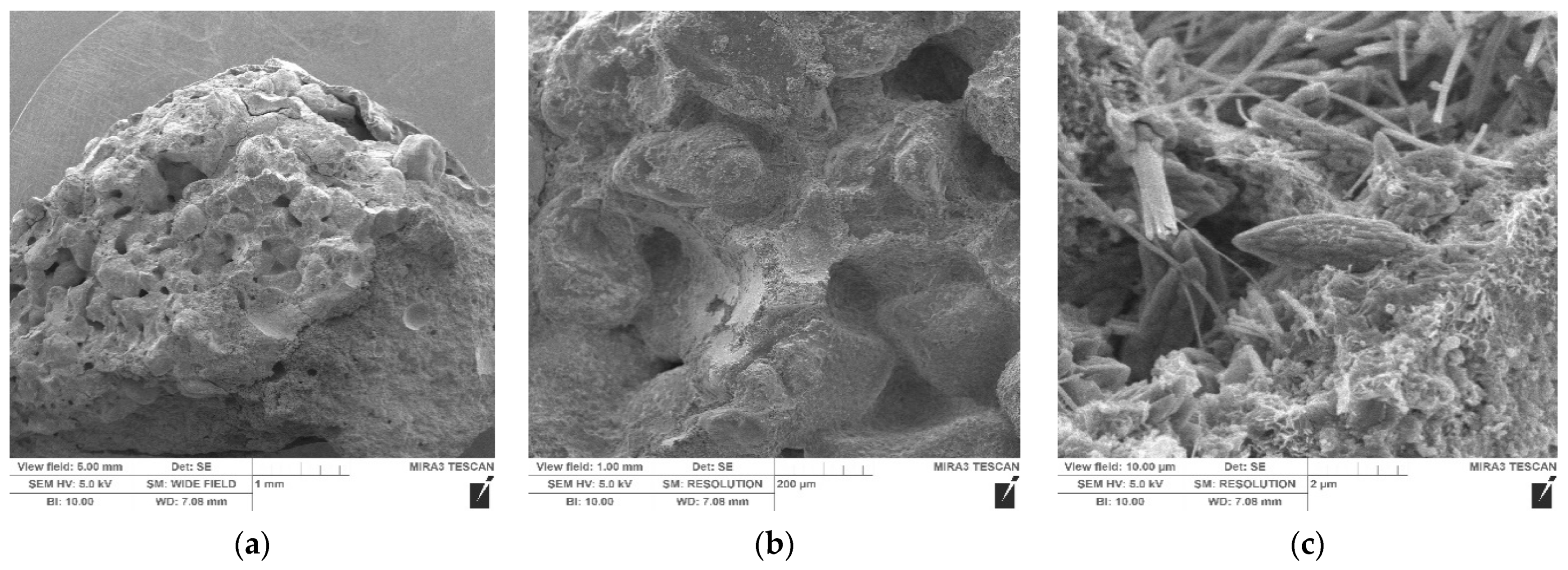 Crystals 11 00369 g005