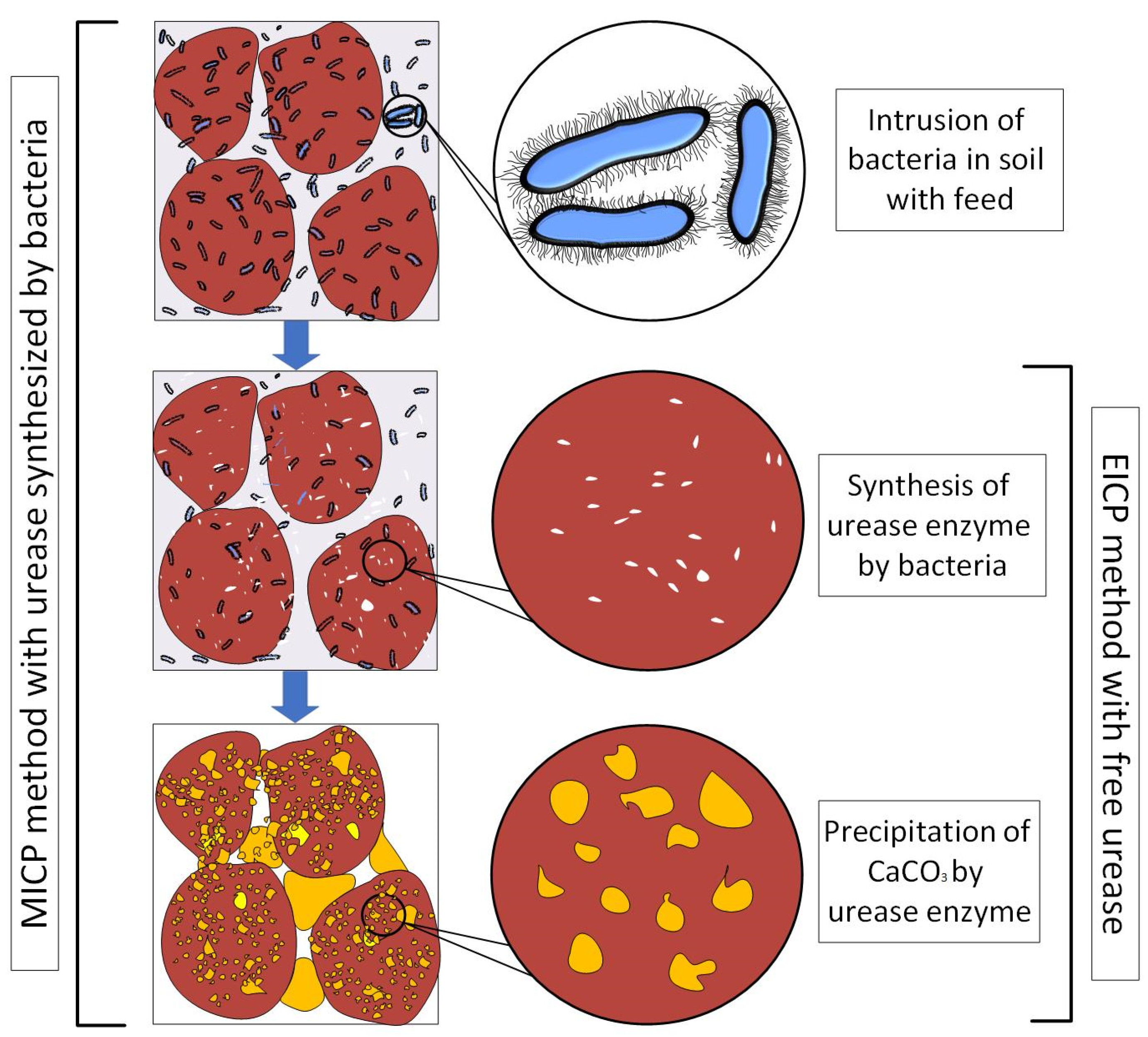 Crystals 11 00370 g001