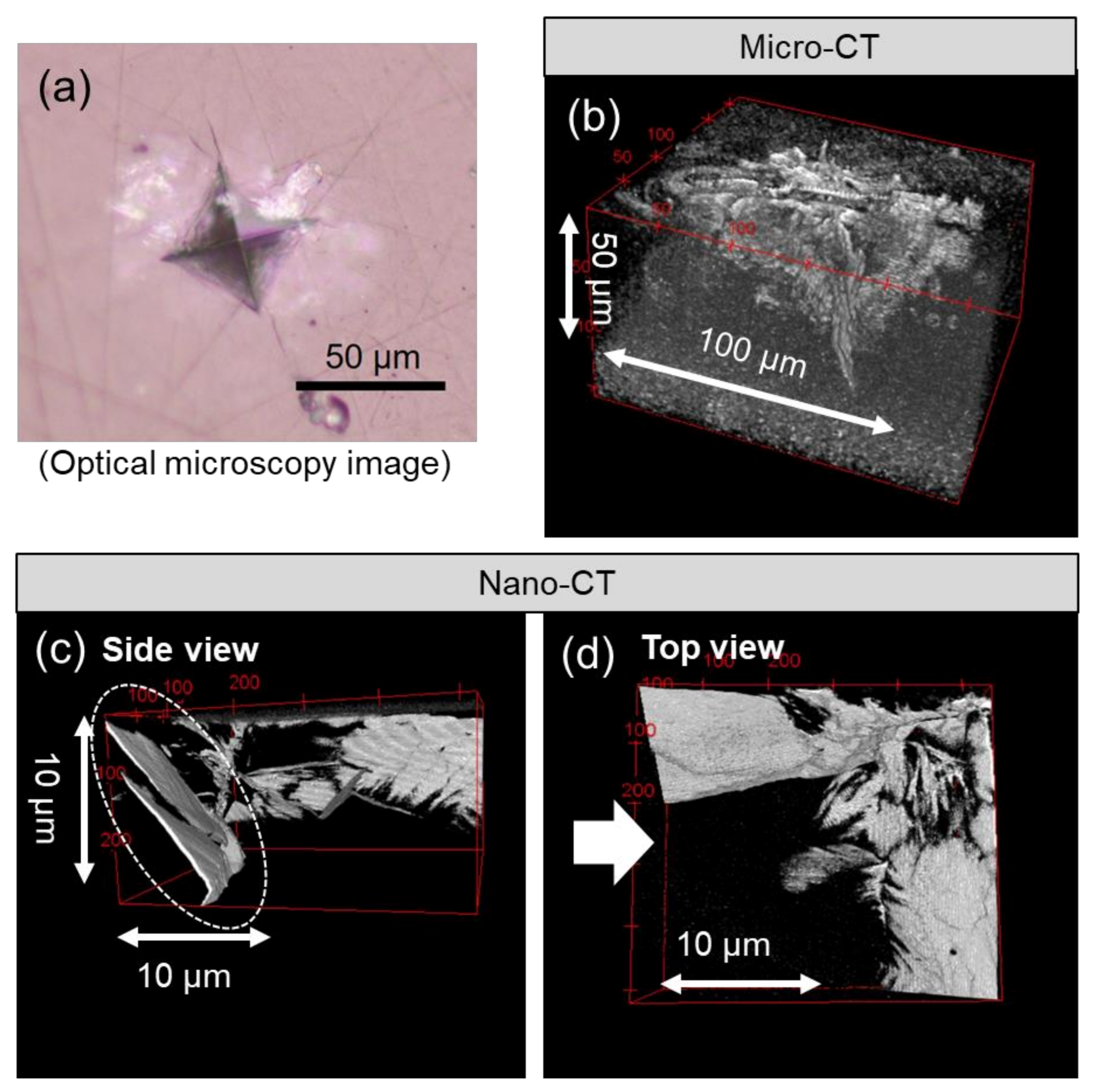 Crystals 11 00393 g006