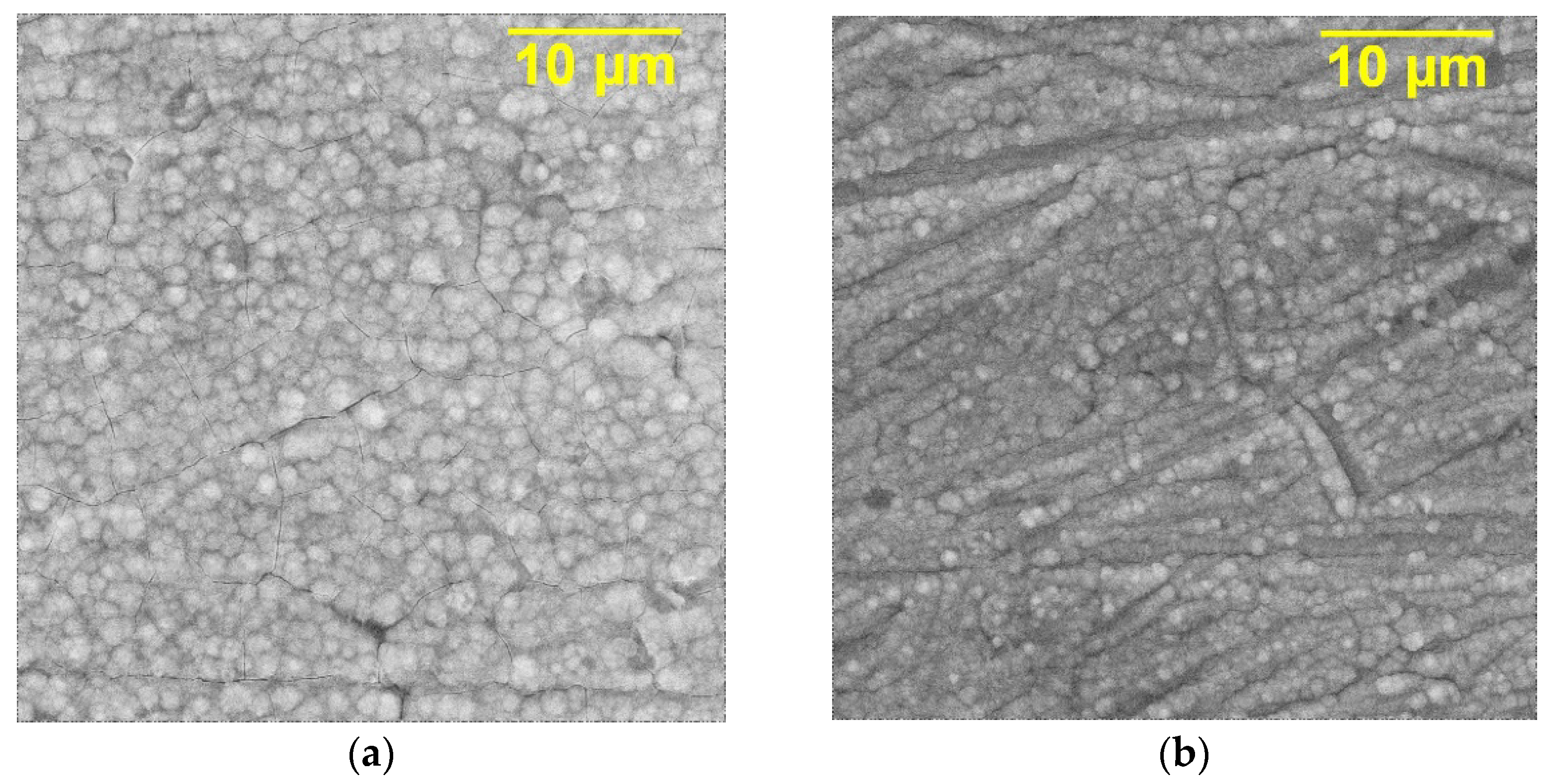 Crystals 11 00415 g003