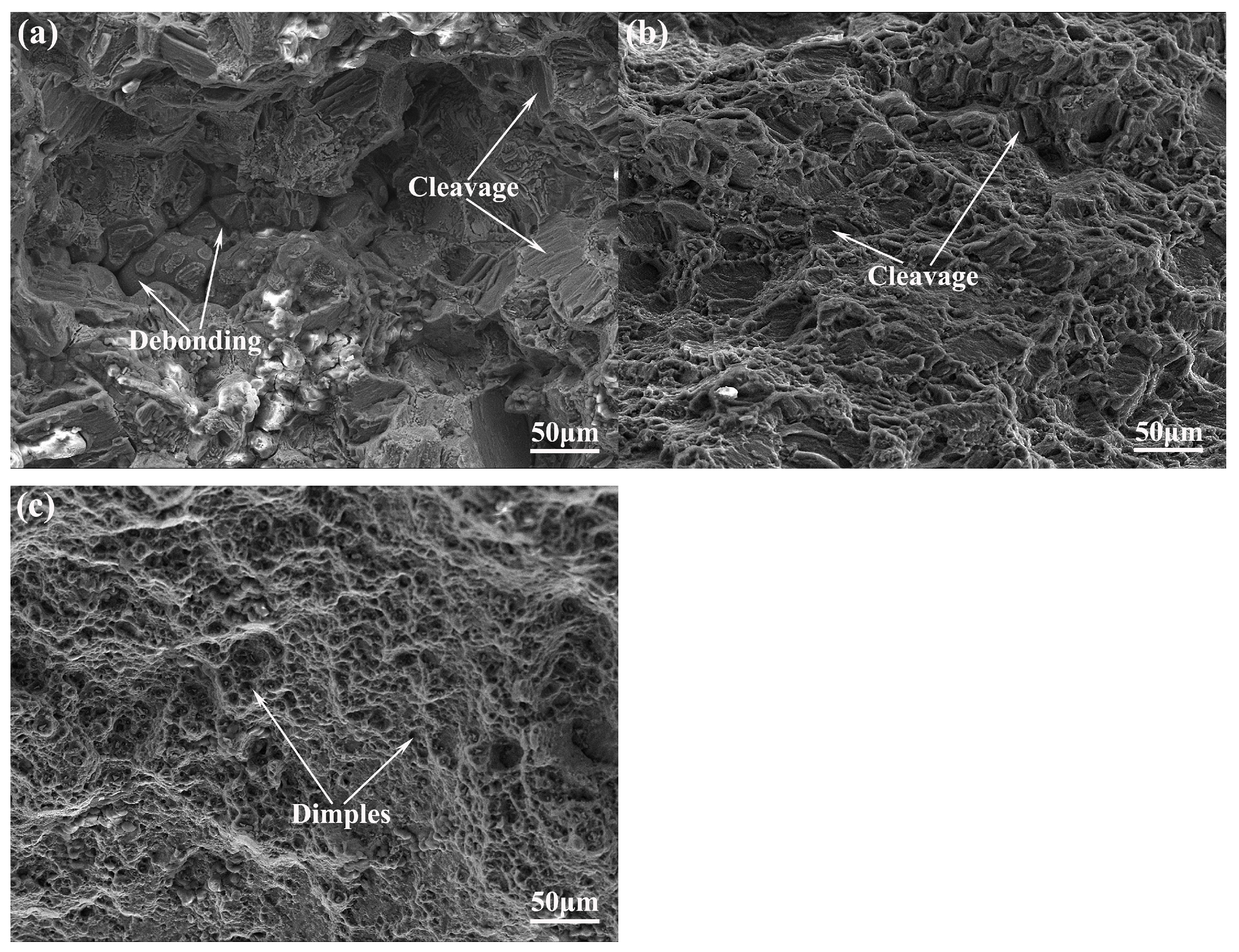 Crystals 11 00425 g010 Crystals 11 00425 g010