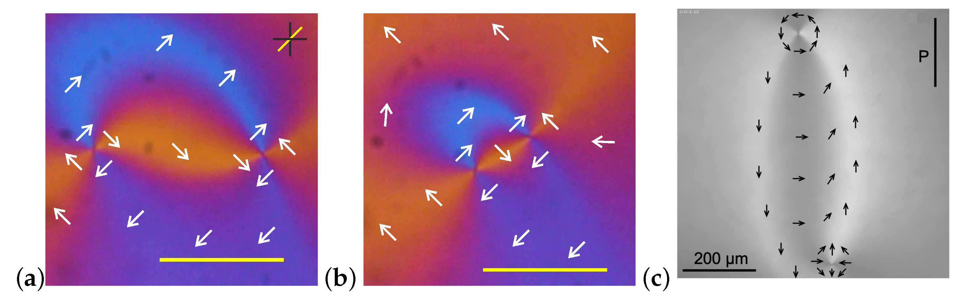 Crystals 11 00430 g002