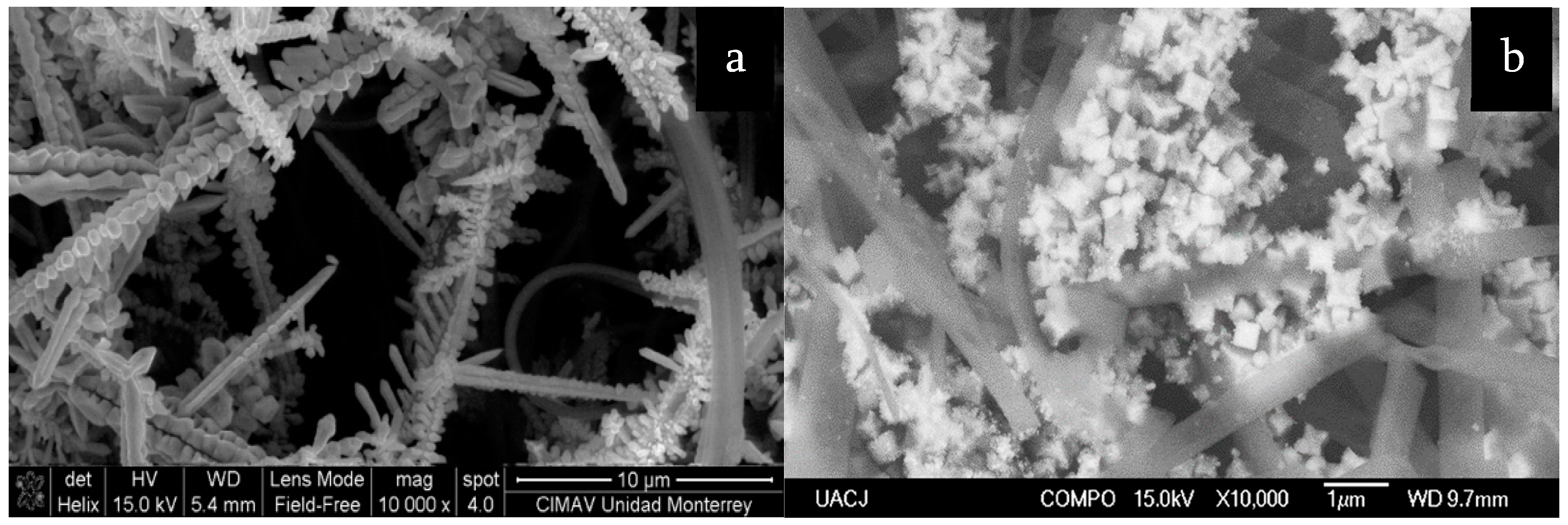 Crystals 11 00439 g007 Crystals 11 00439 g007
