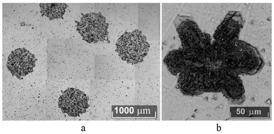 Crystals 11 00458 g0a5