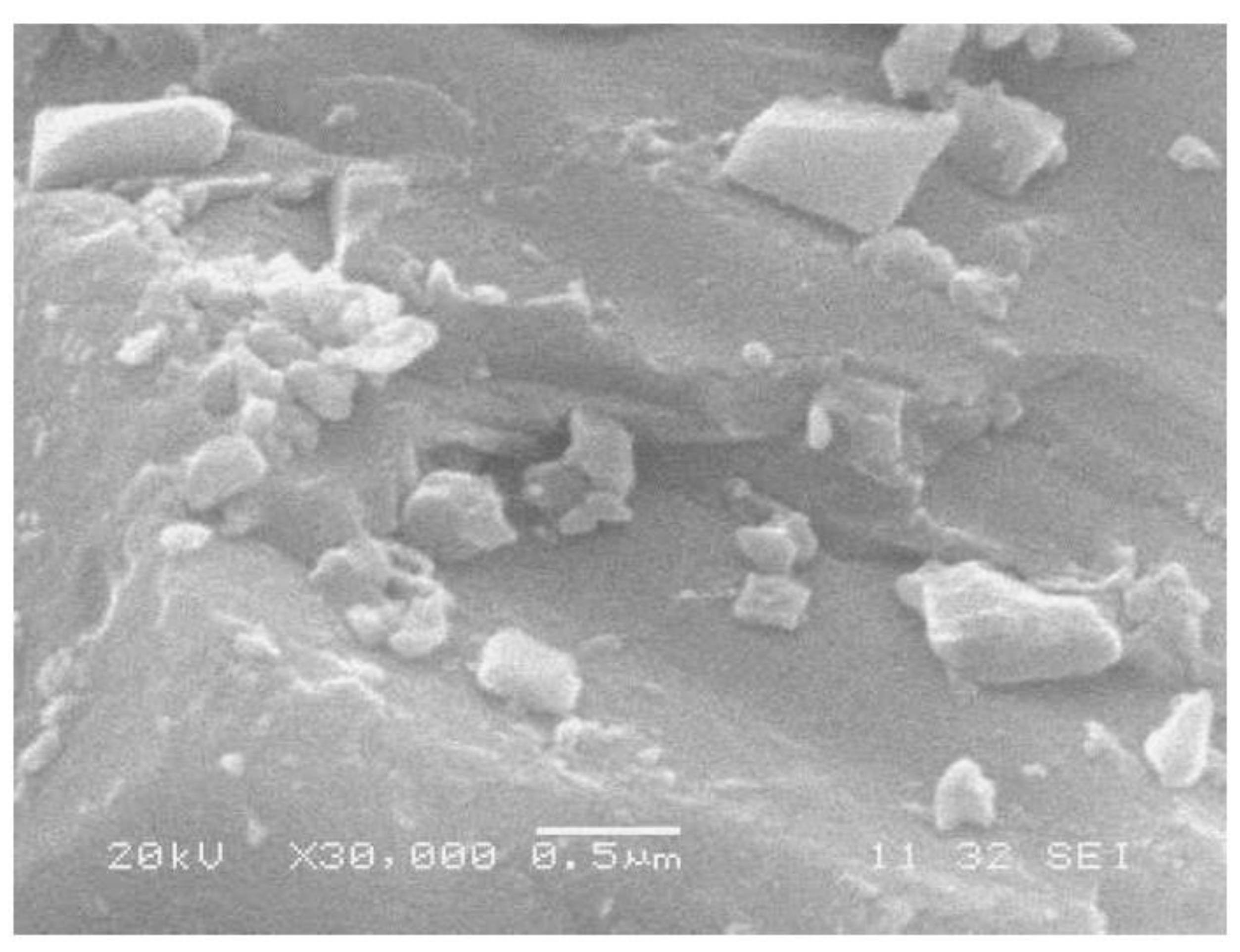 Crystals 11 00484 g004