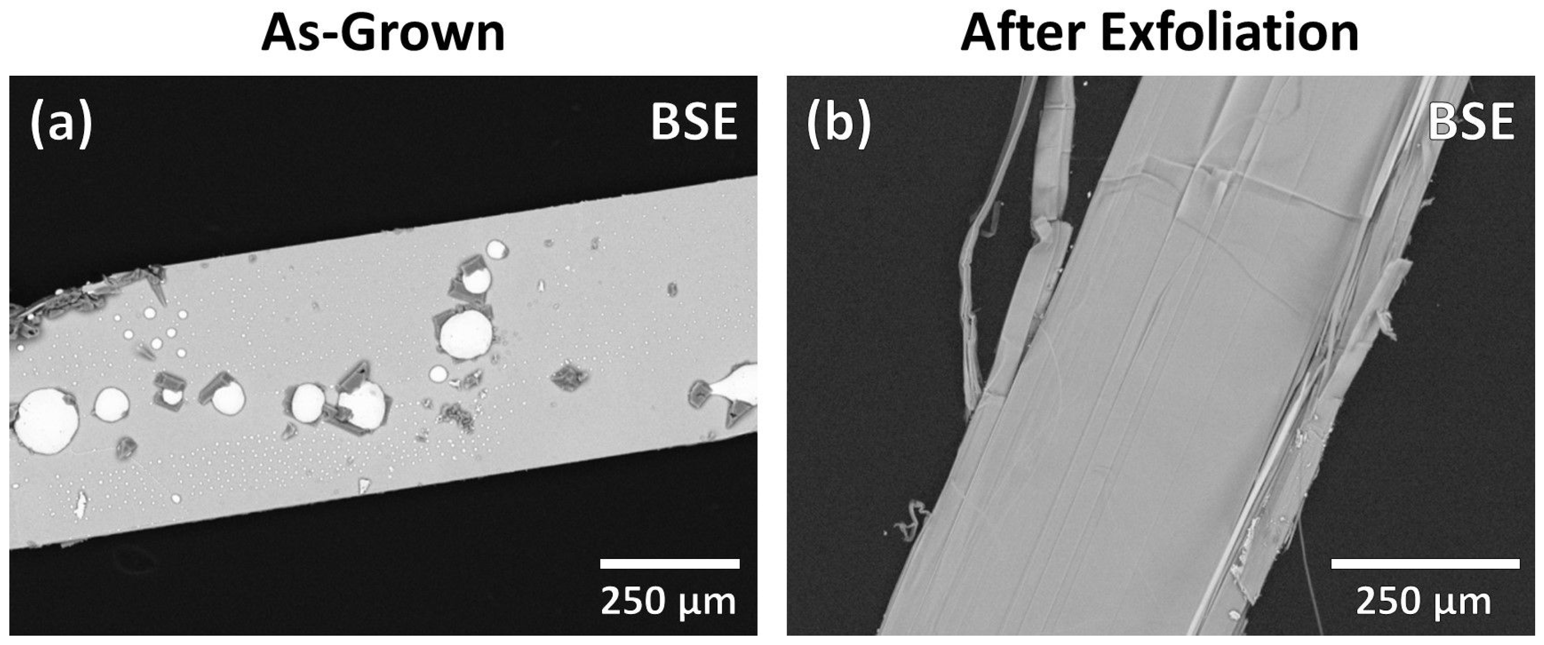 Crystals 11 00500 g003