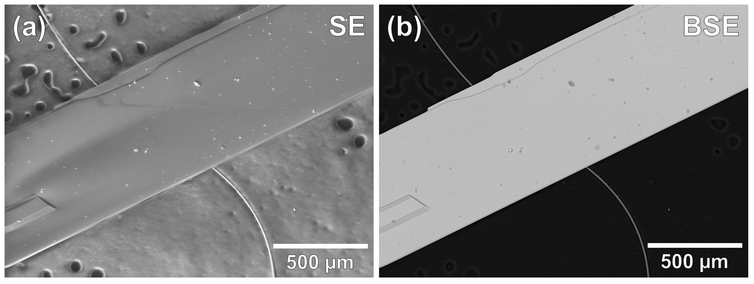 Crystals 11 00500 g004