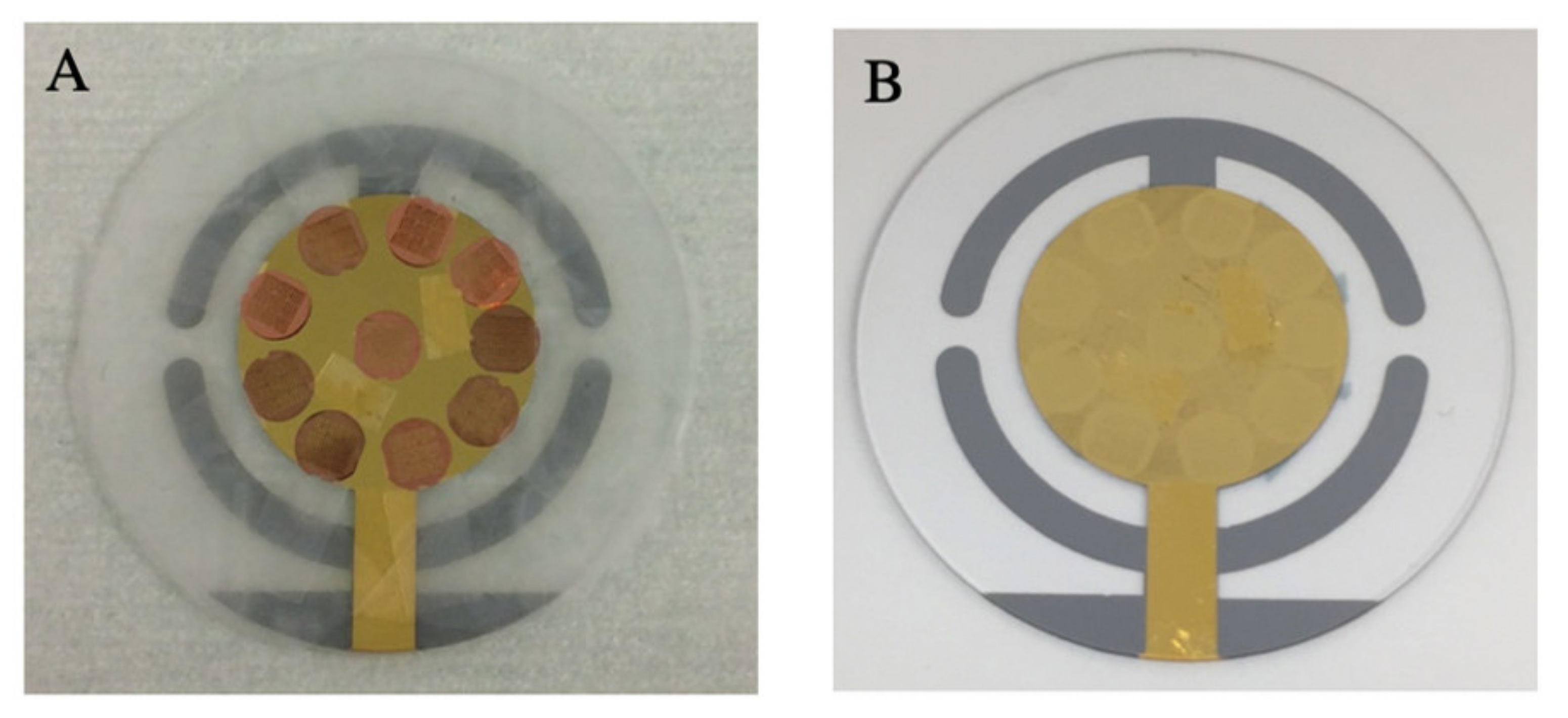 Crystals 11 00562 g002