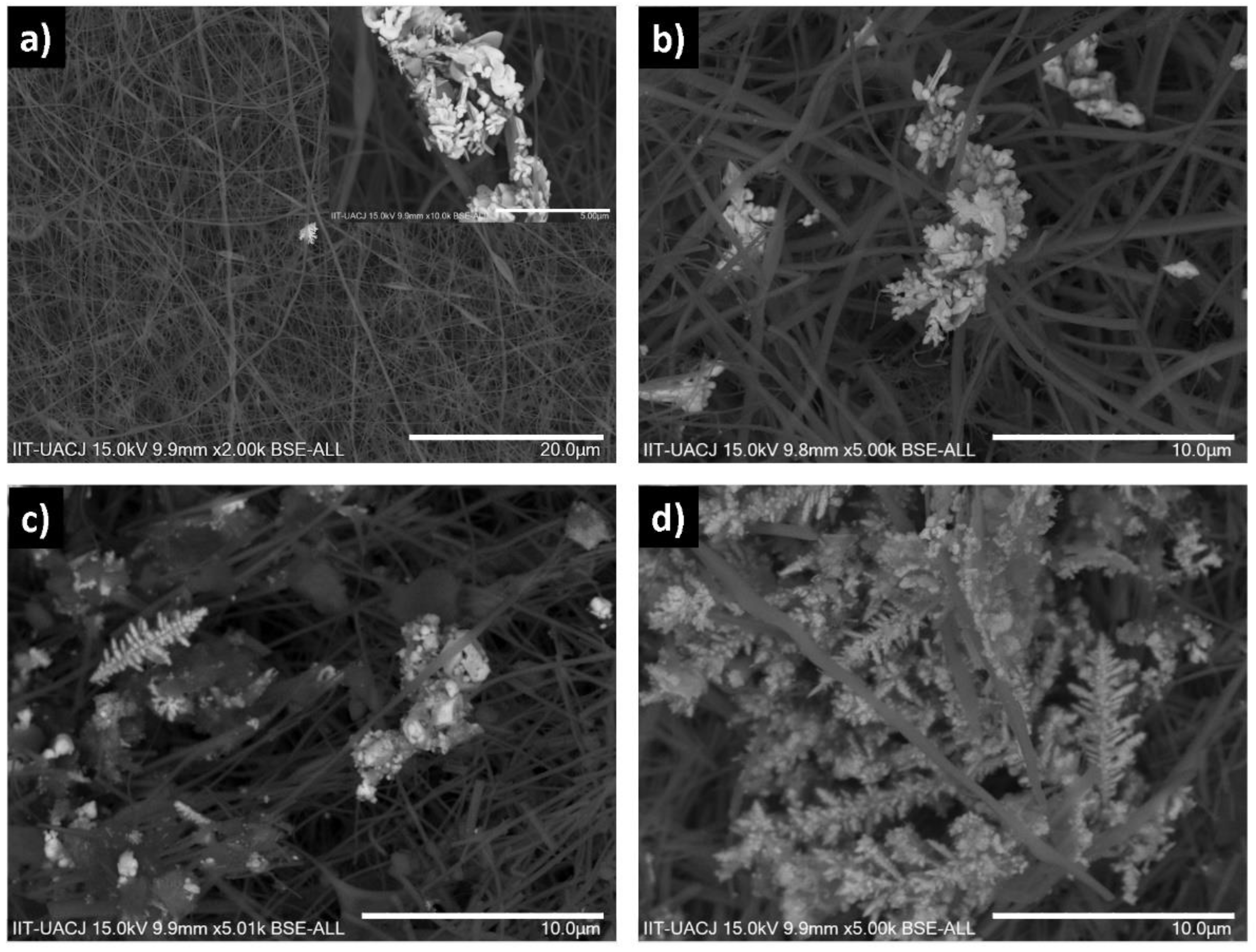 Crystals 11 00563 g003