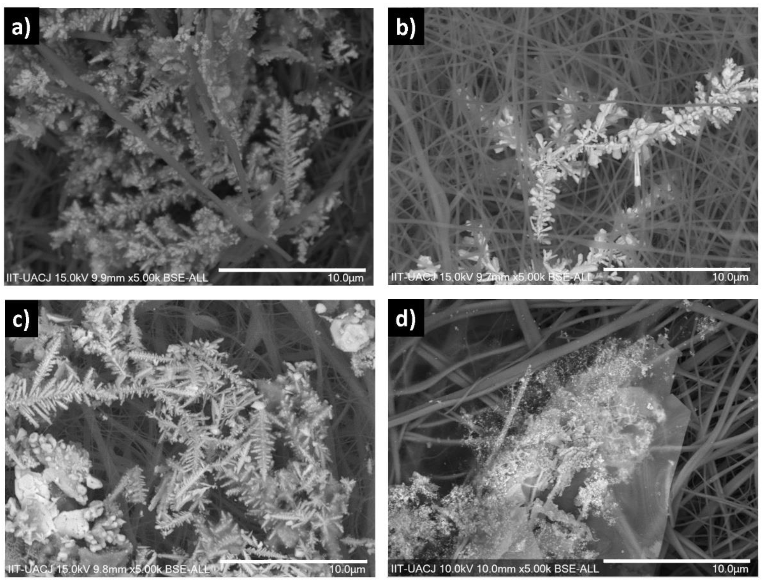 Crystals 11 00563 g004