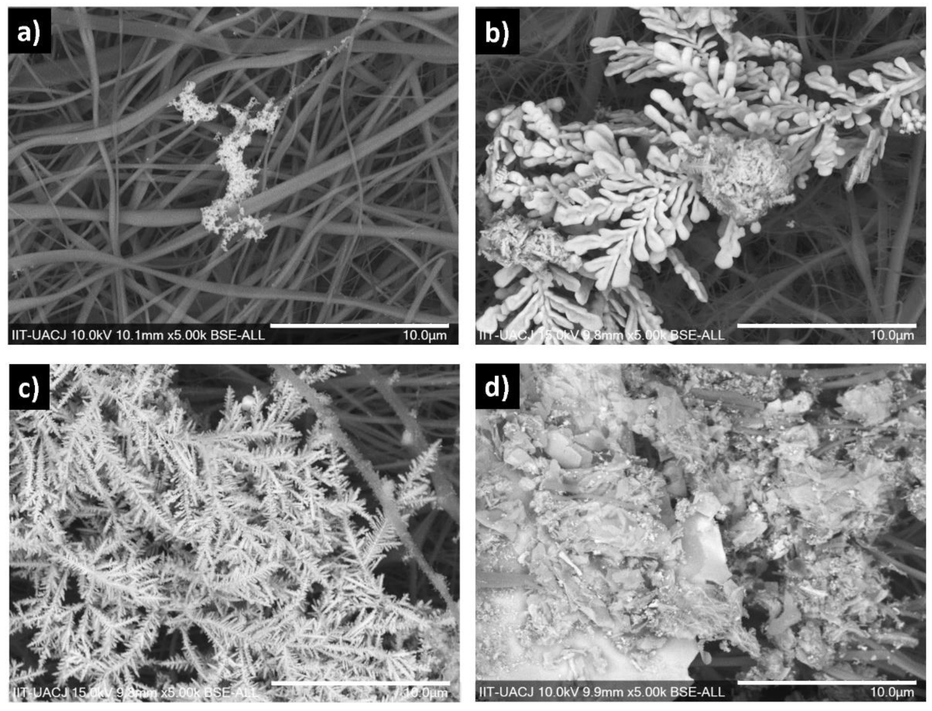 Crystals 11 00563 g005