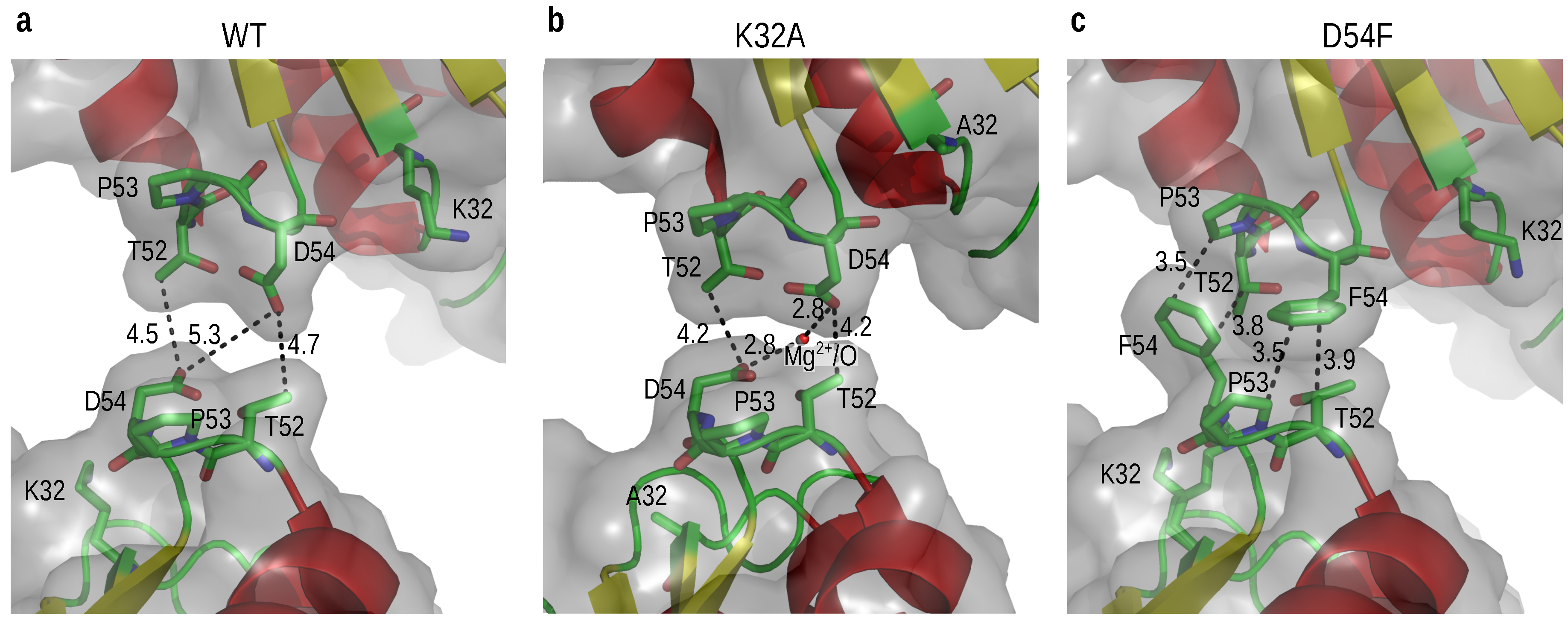 Crystals 11 00588 g004 Crystals 11 00588 g004