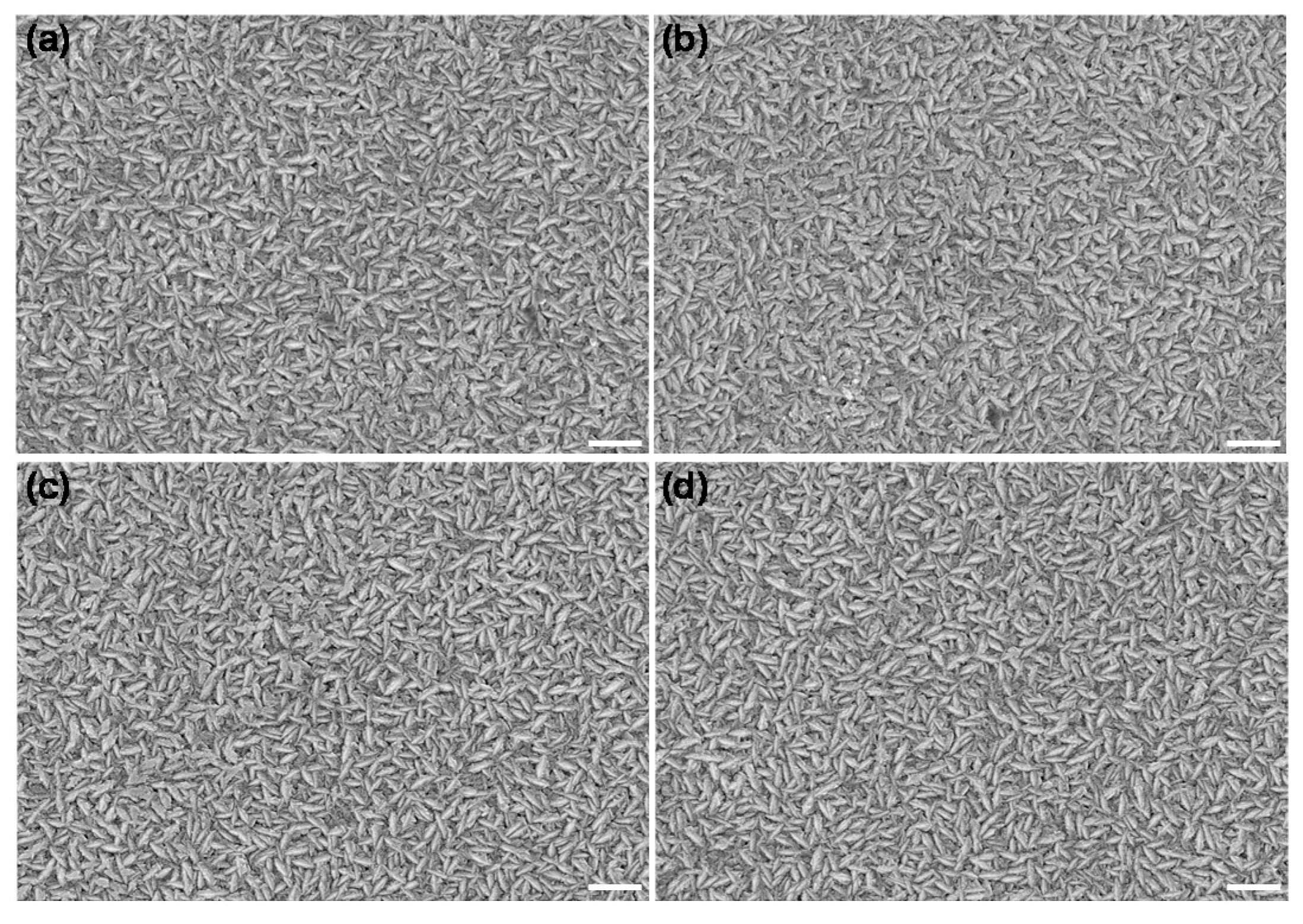 Crystals 11 00615 g004