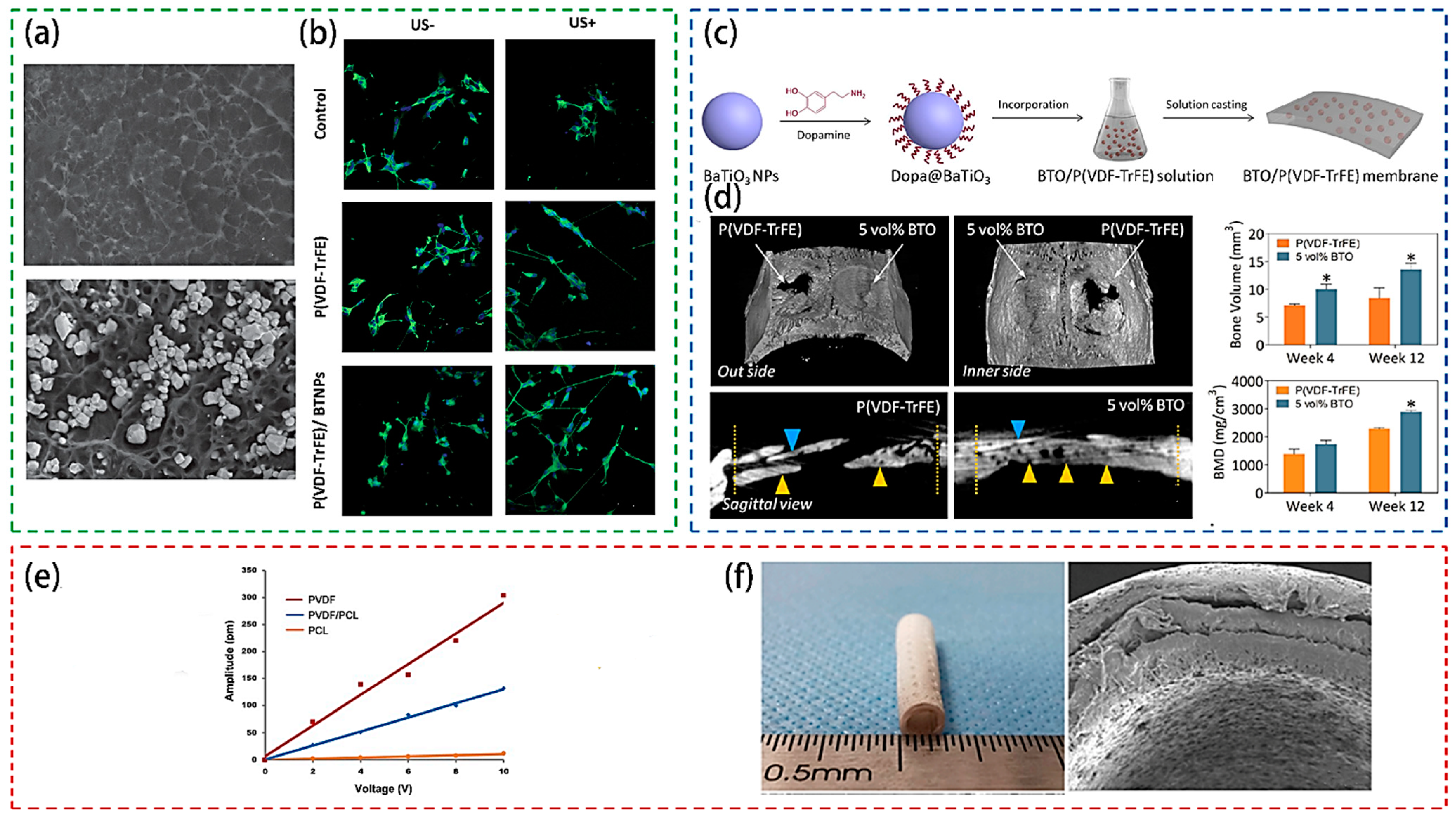 Crystals 11 00644 g006