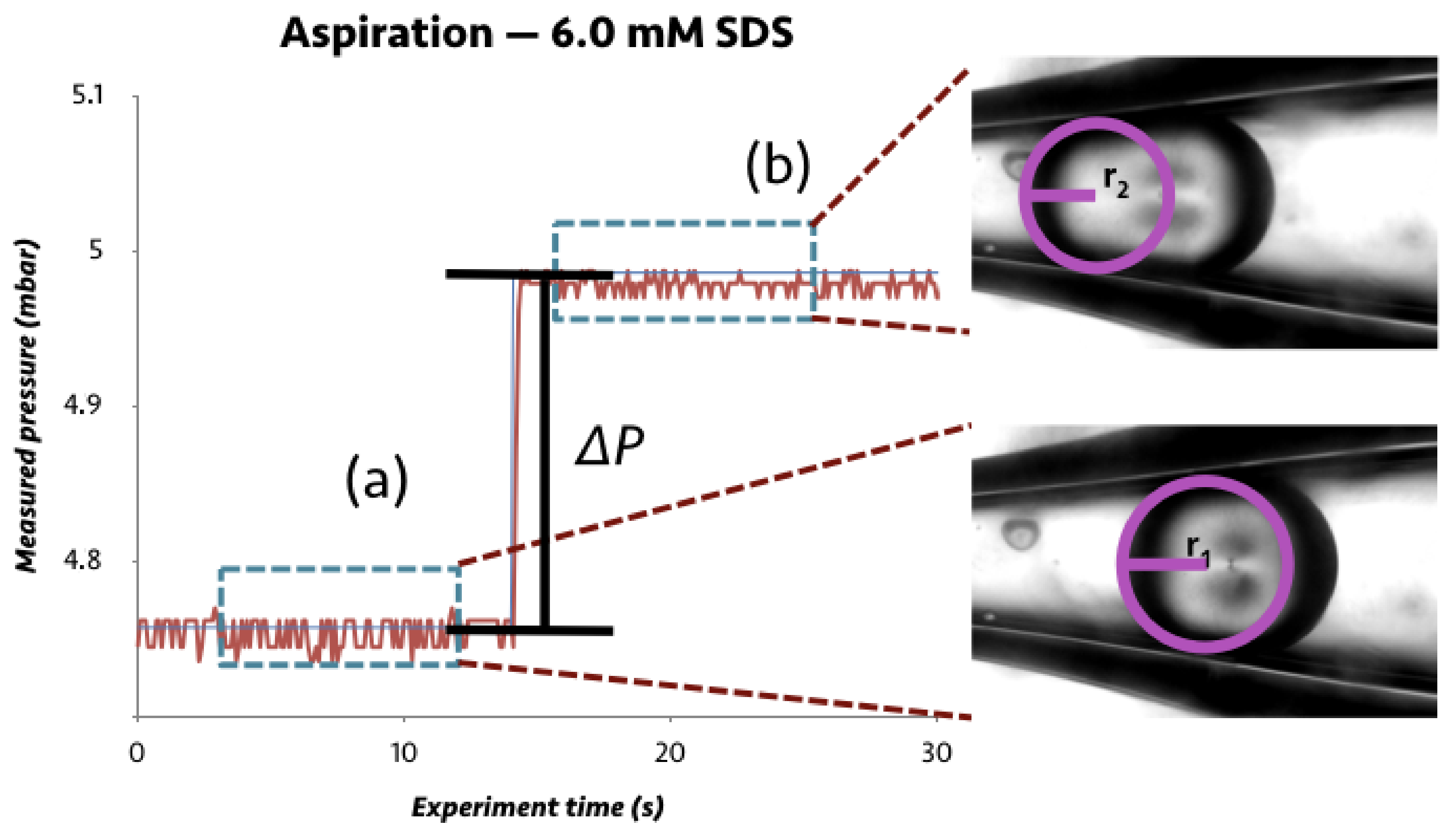 Crystals 11 00687 g001