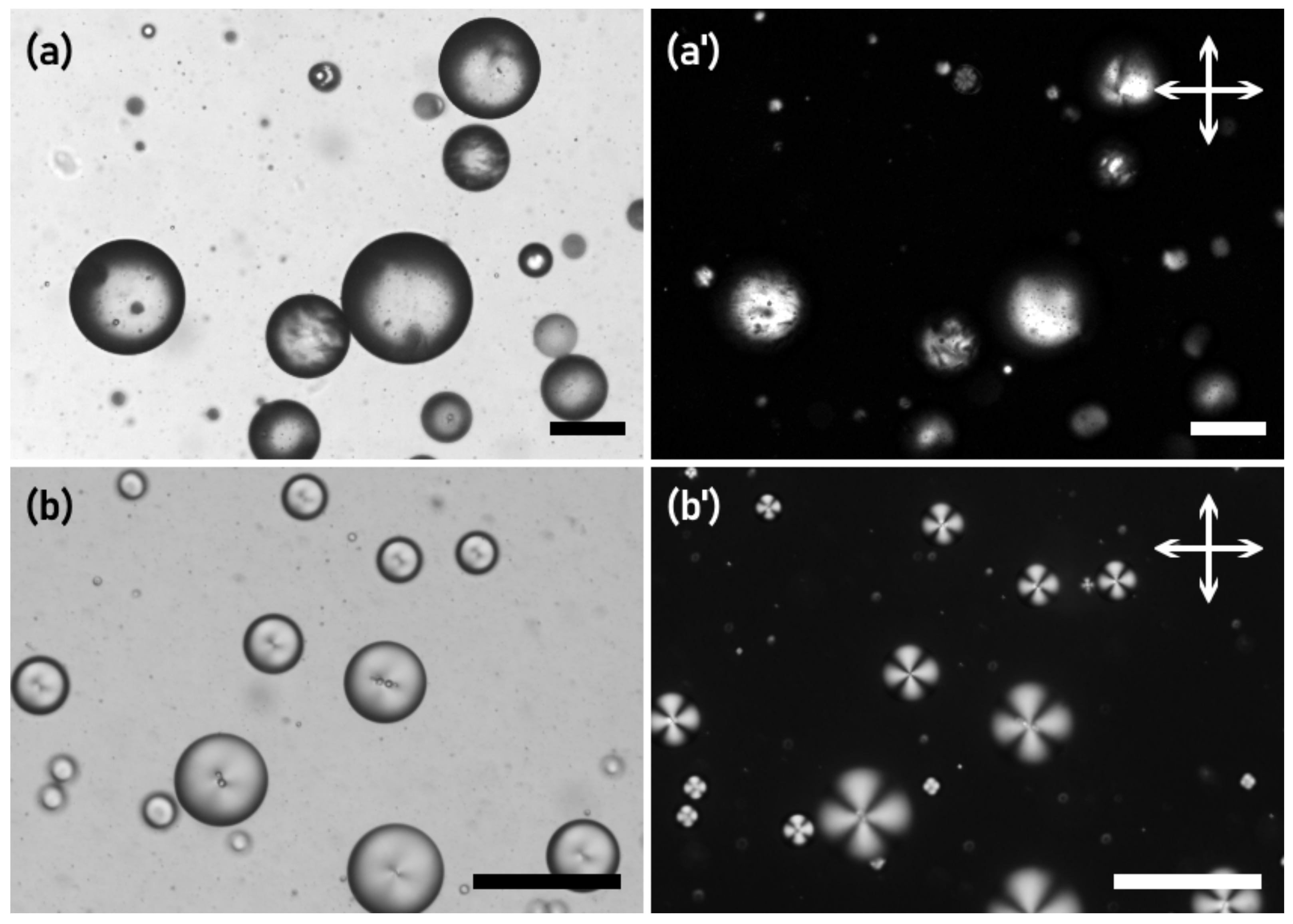 Crystals 11 00687 g003