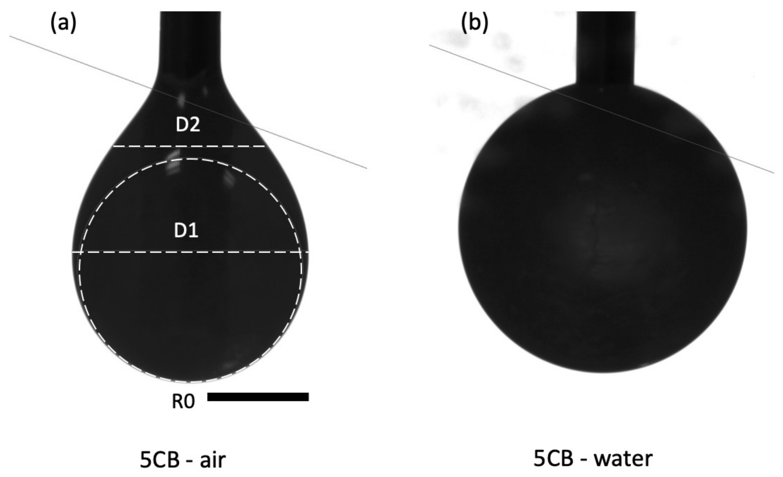 Crystals 11 00687 g005