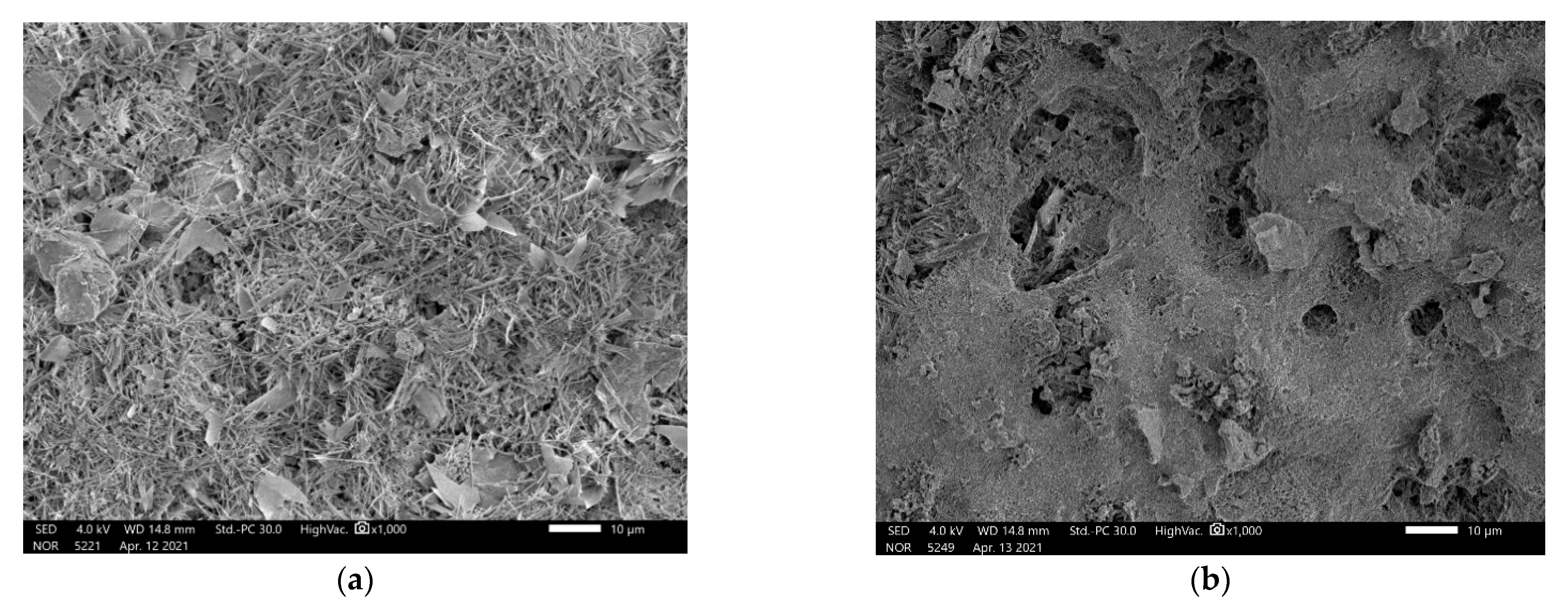 Crystals 11 00692 g015 Crystals 11 00692 g015