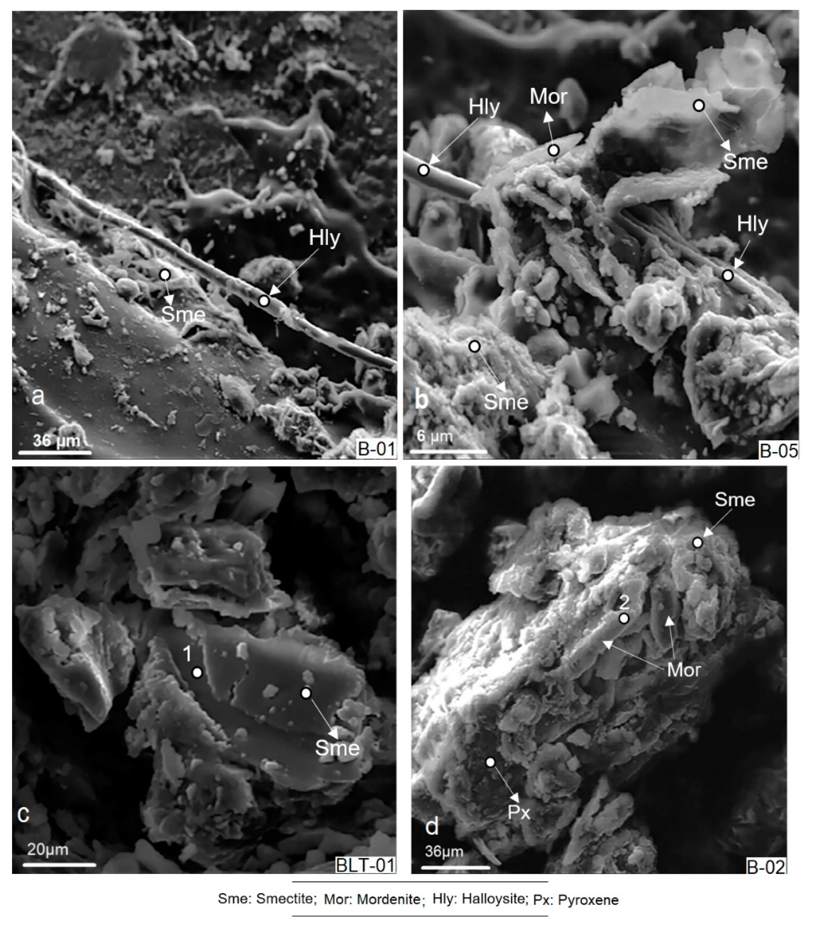 Crystals 11 00706 g010 Crystals 11 00706 g010