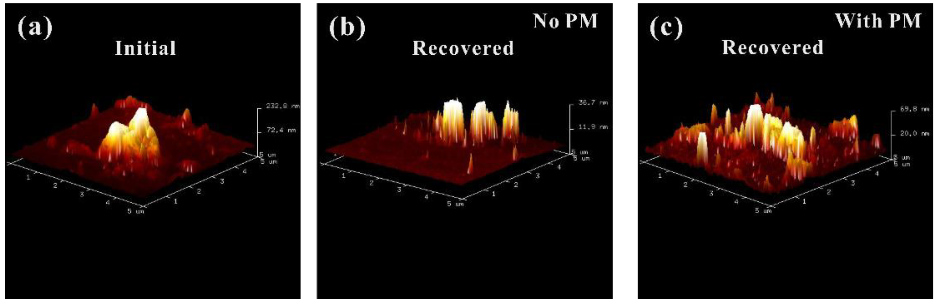 Crystals 11 00746 g009