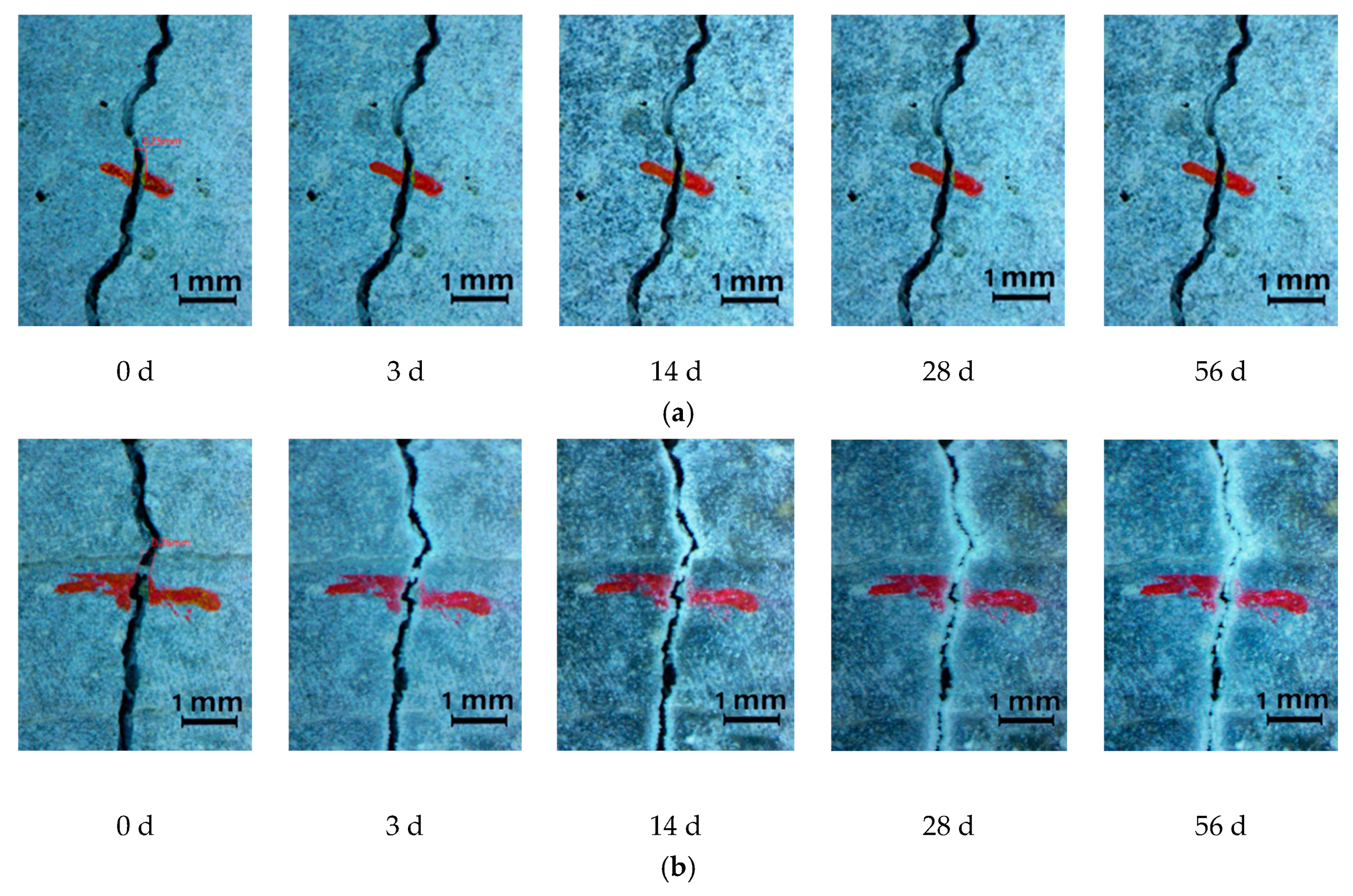 Crystals 11 00752 g003a