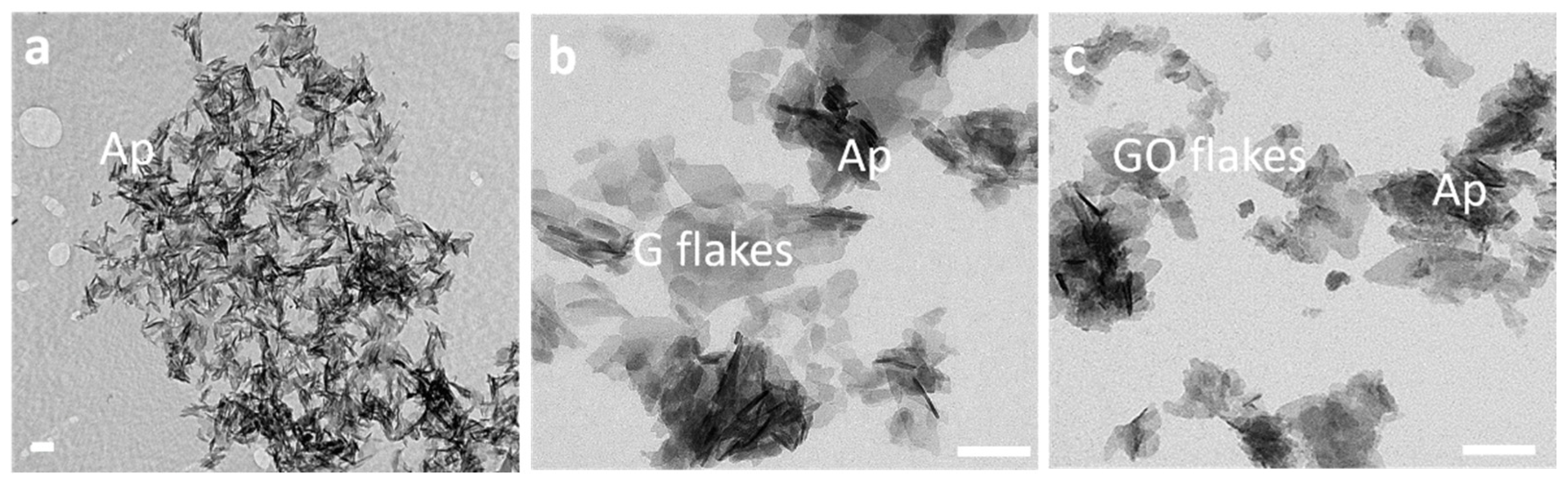 Crystals 11 00767 g004 Crystals 11 00767 g004