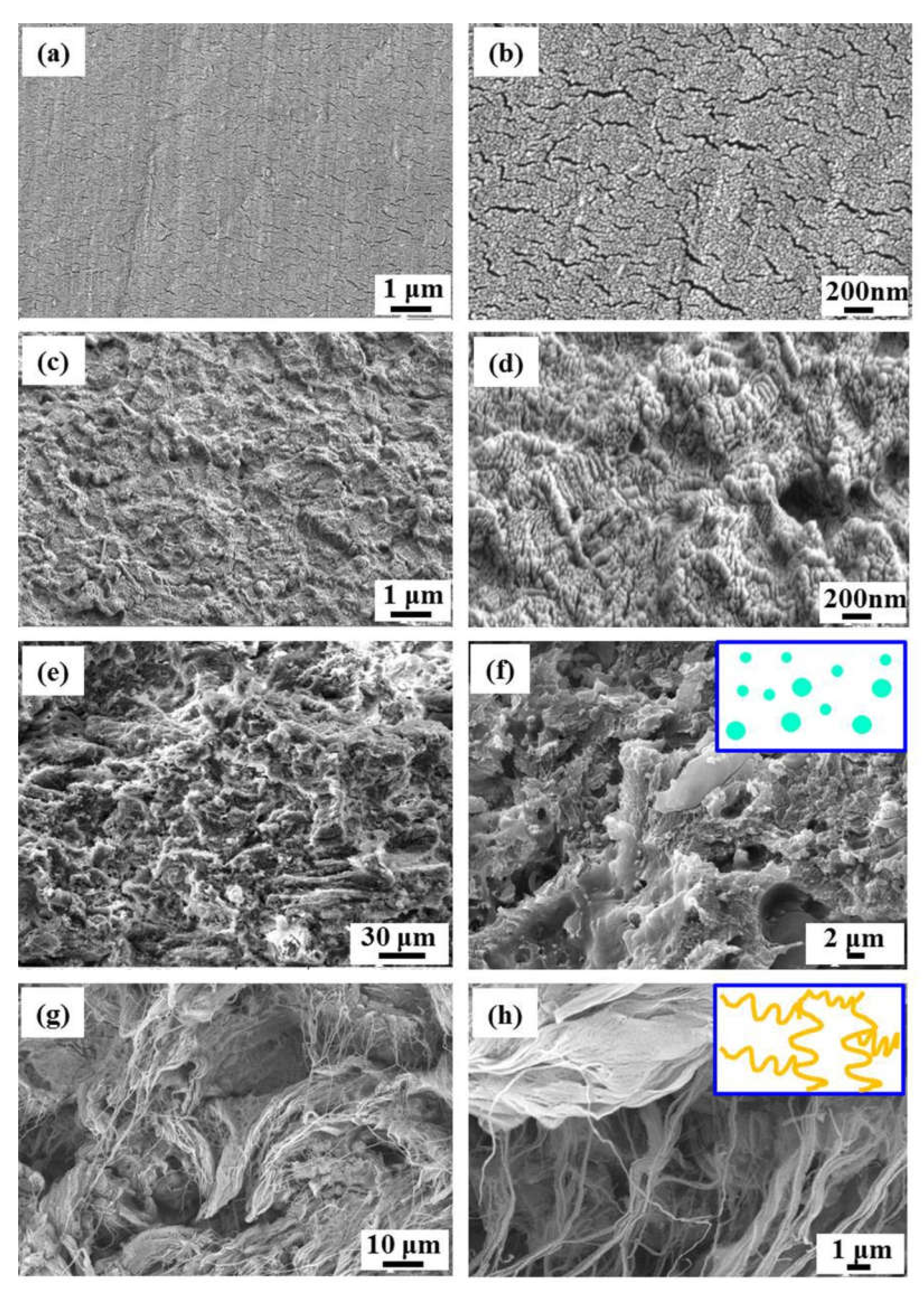 Crystals 11 00778 g007