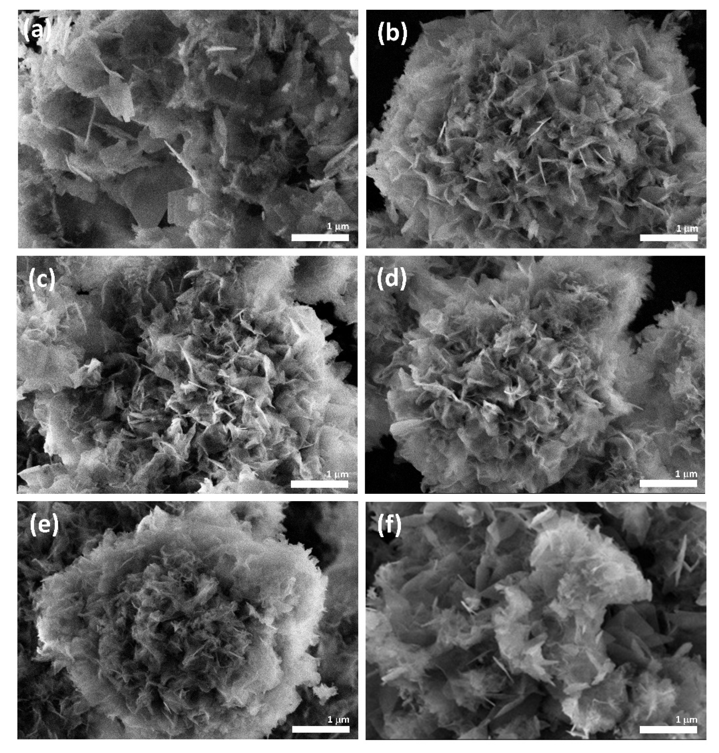 Crystals 11 00792 g005