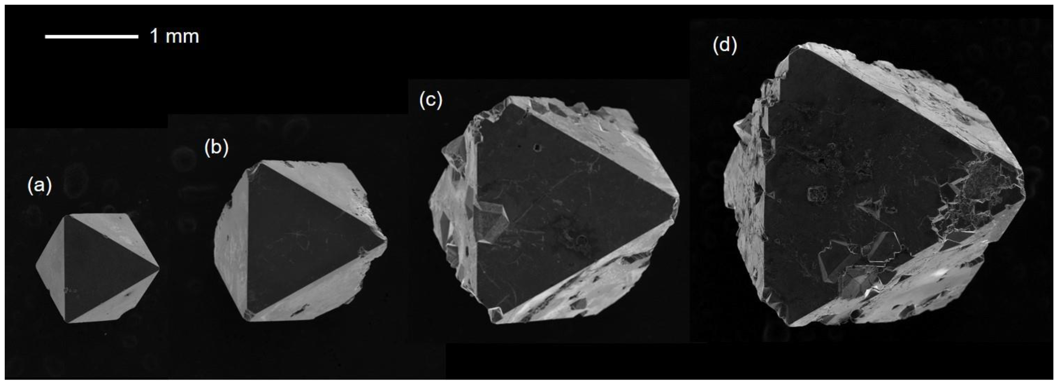 Crystals 11 00808 g002