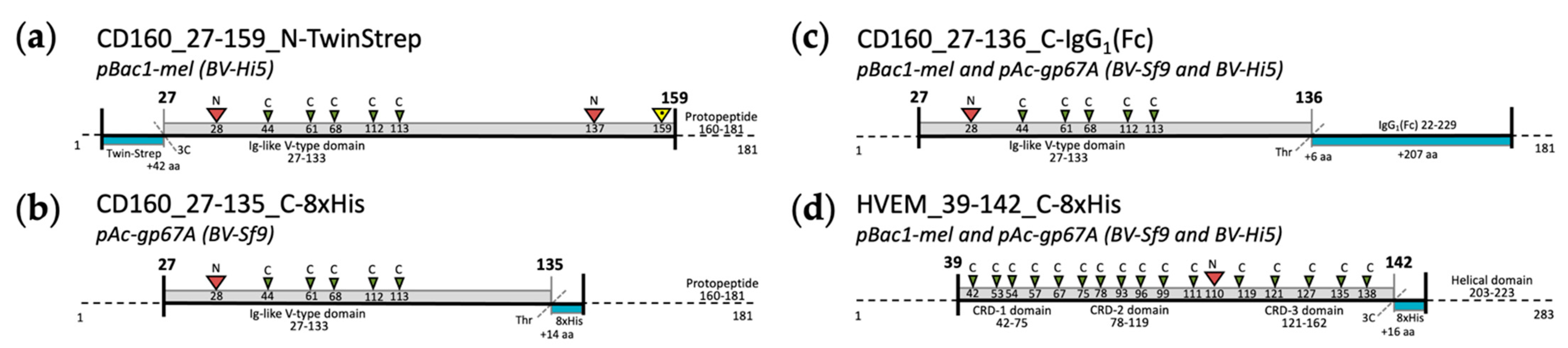 Crystals 11 00820 g002