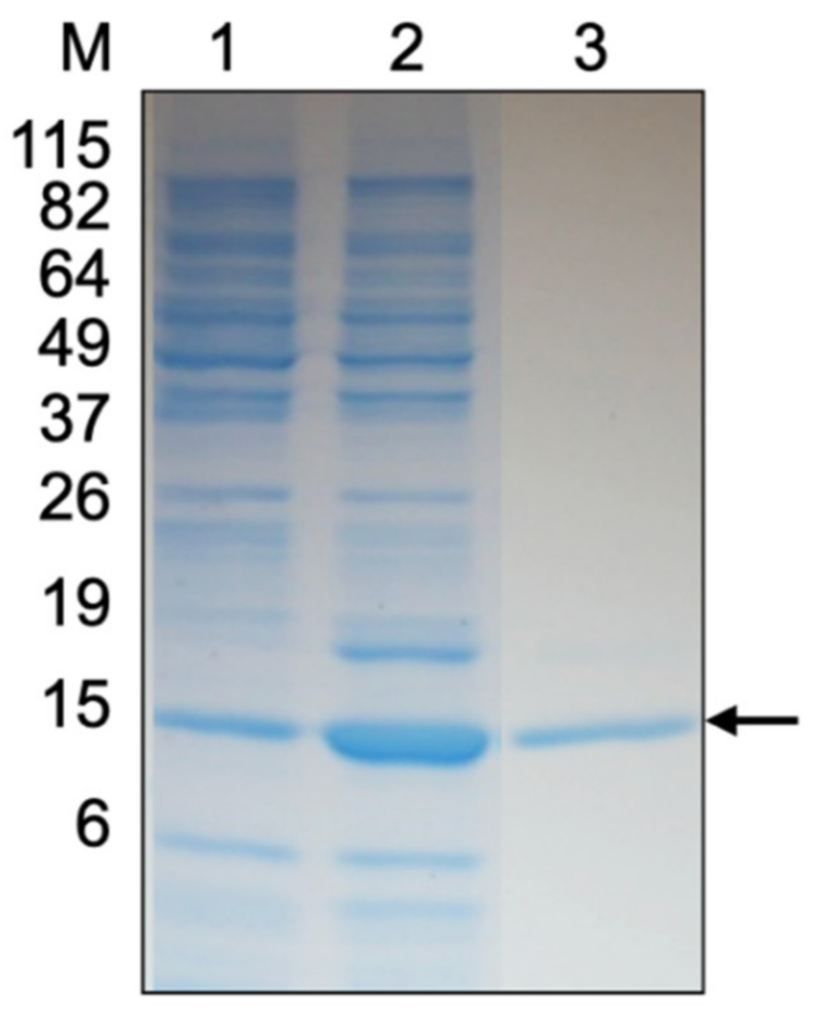 Crystals 11 00874 g001