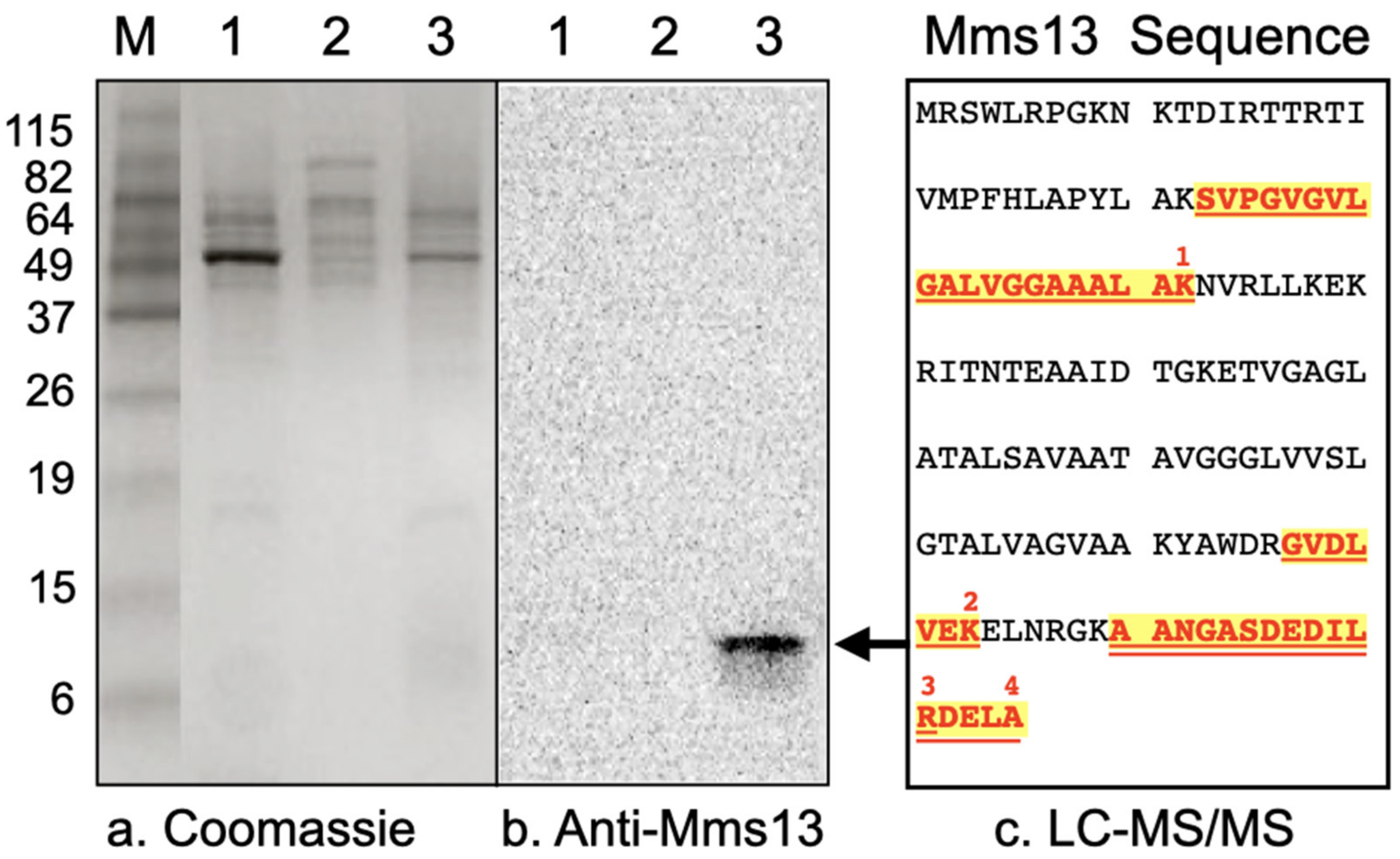 Crystals 11 00874 g002